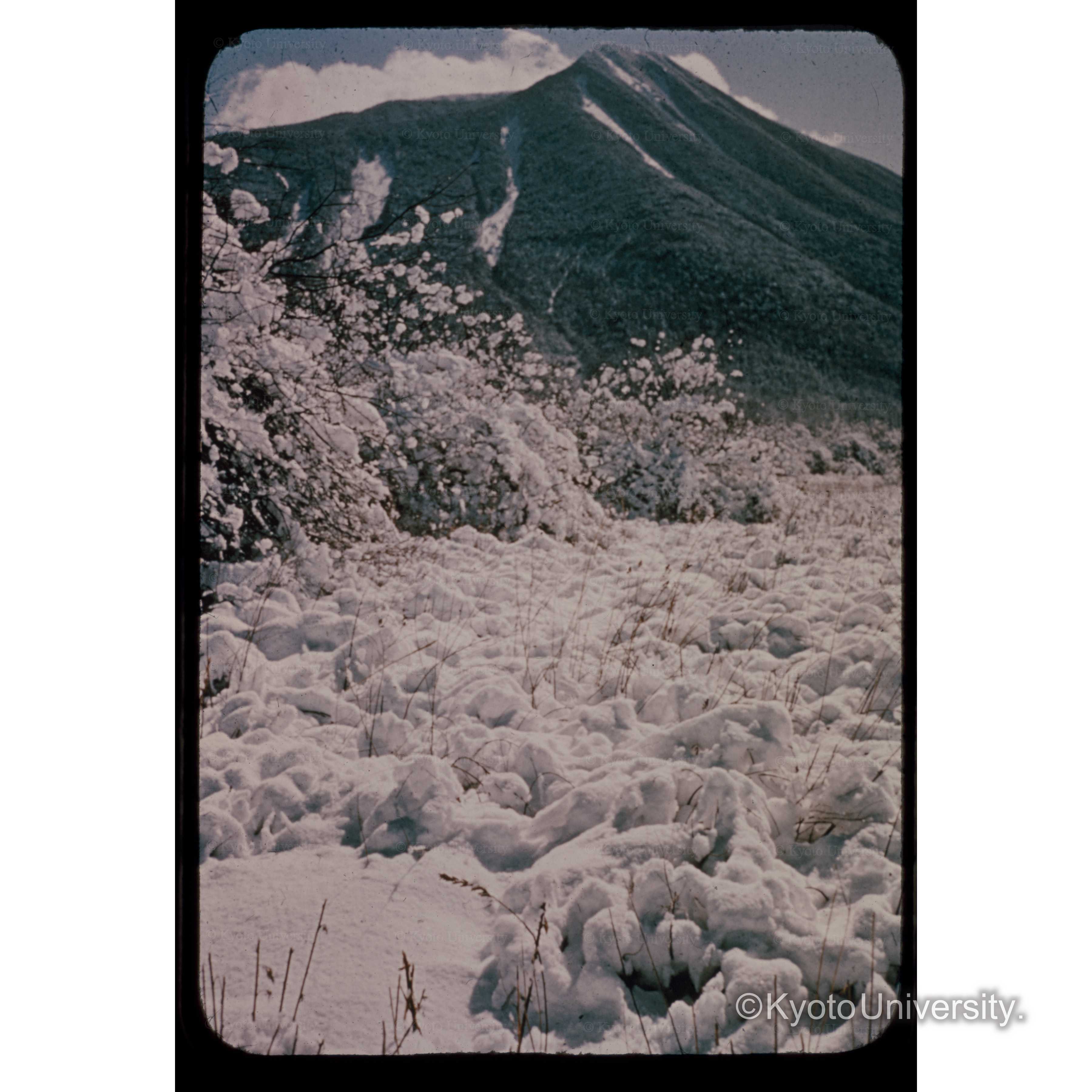 雪の戦場ヶ原、日光国立公園(日光) (1)