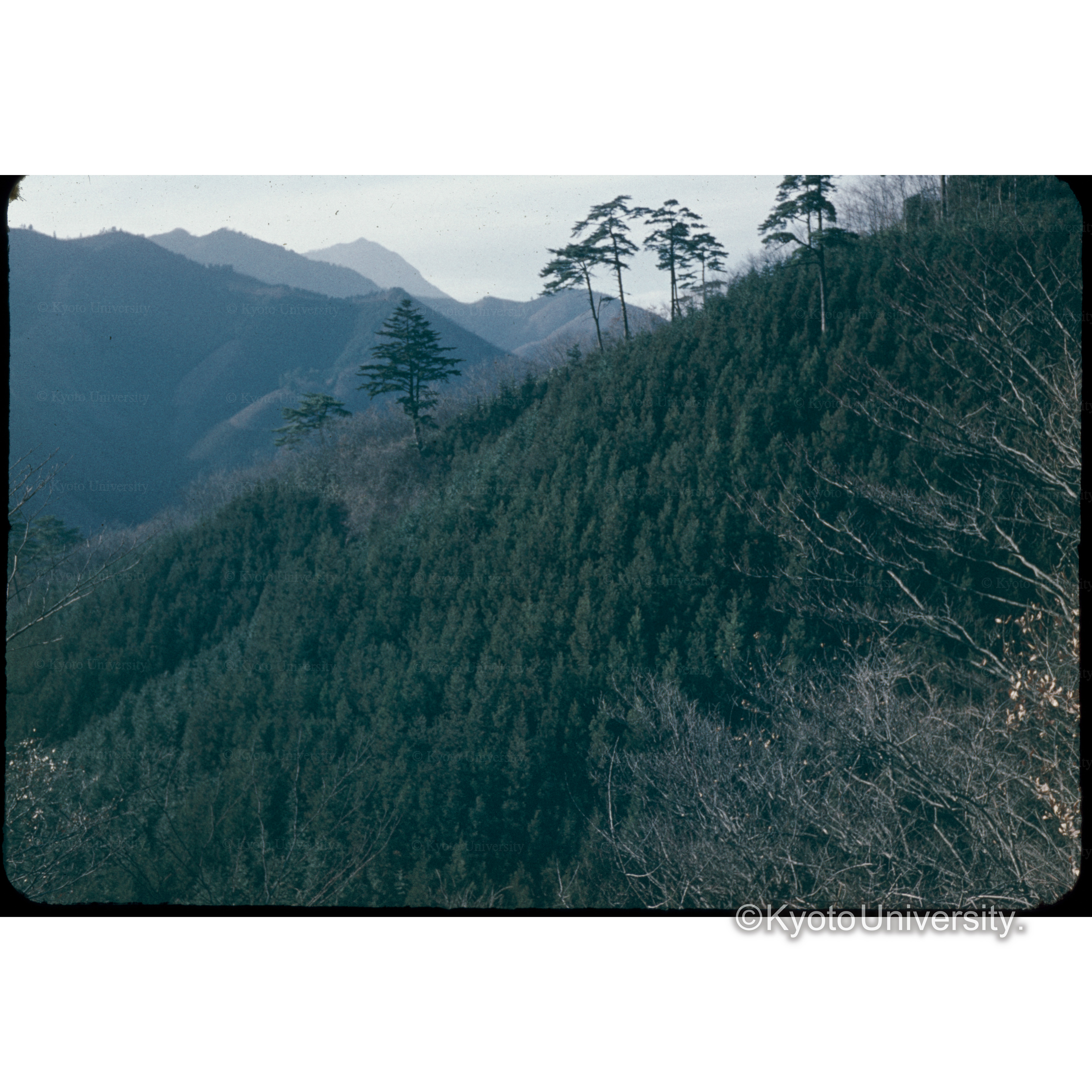 正丸峠(秩父をみる) (1)