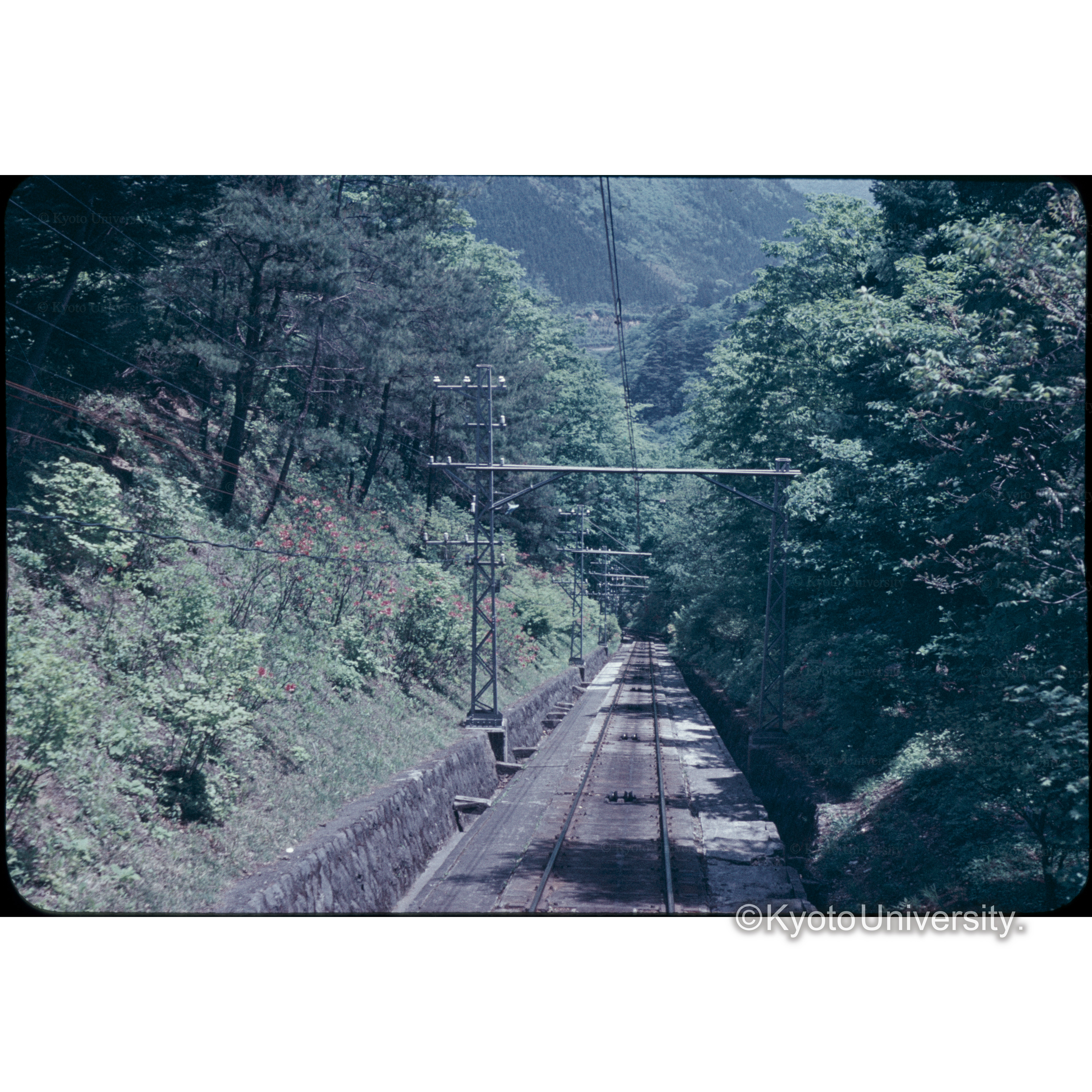 日光のケーブル (1)