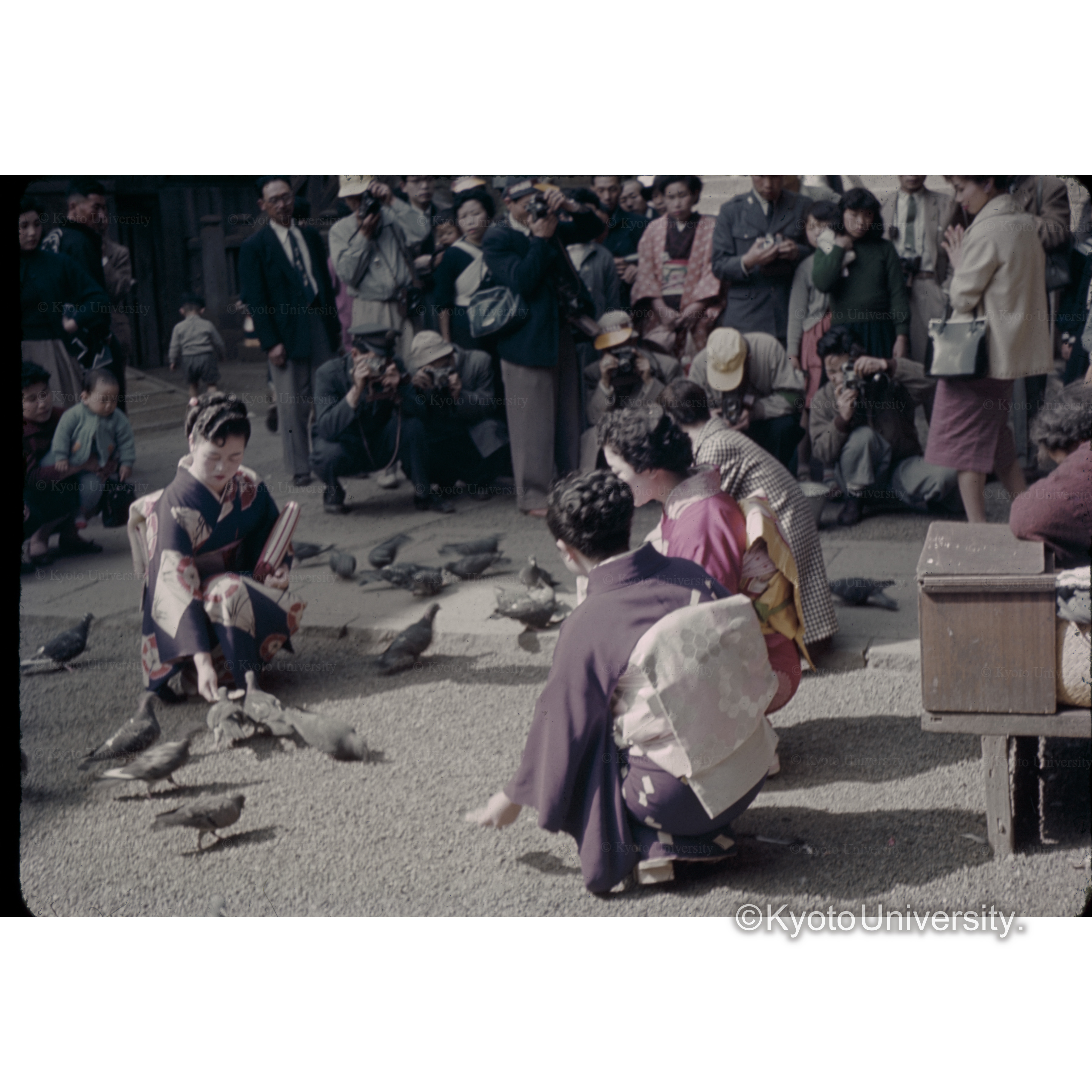 Narita Shinto-temple Chiba (1)