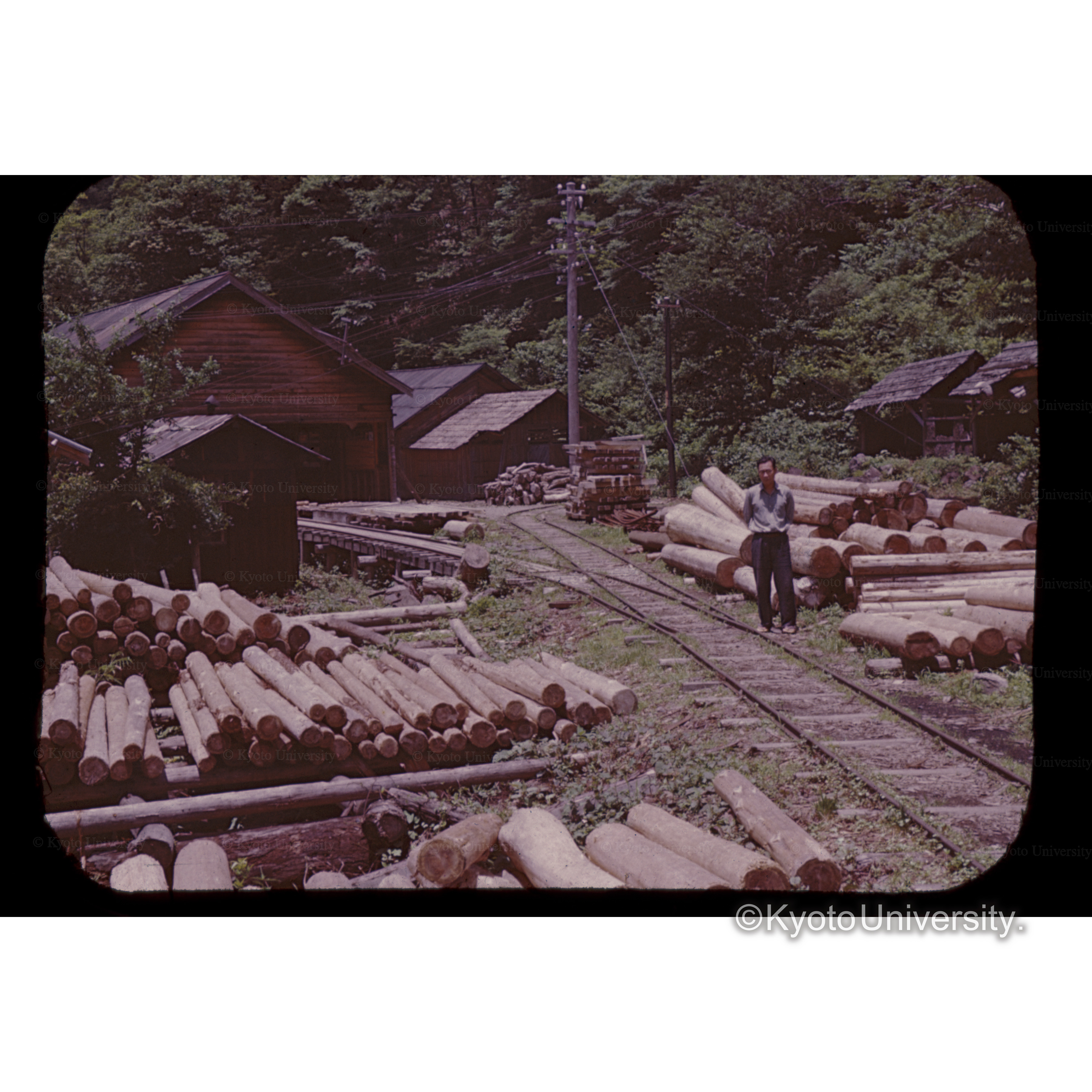 古□法□林　事ム所前 (1)