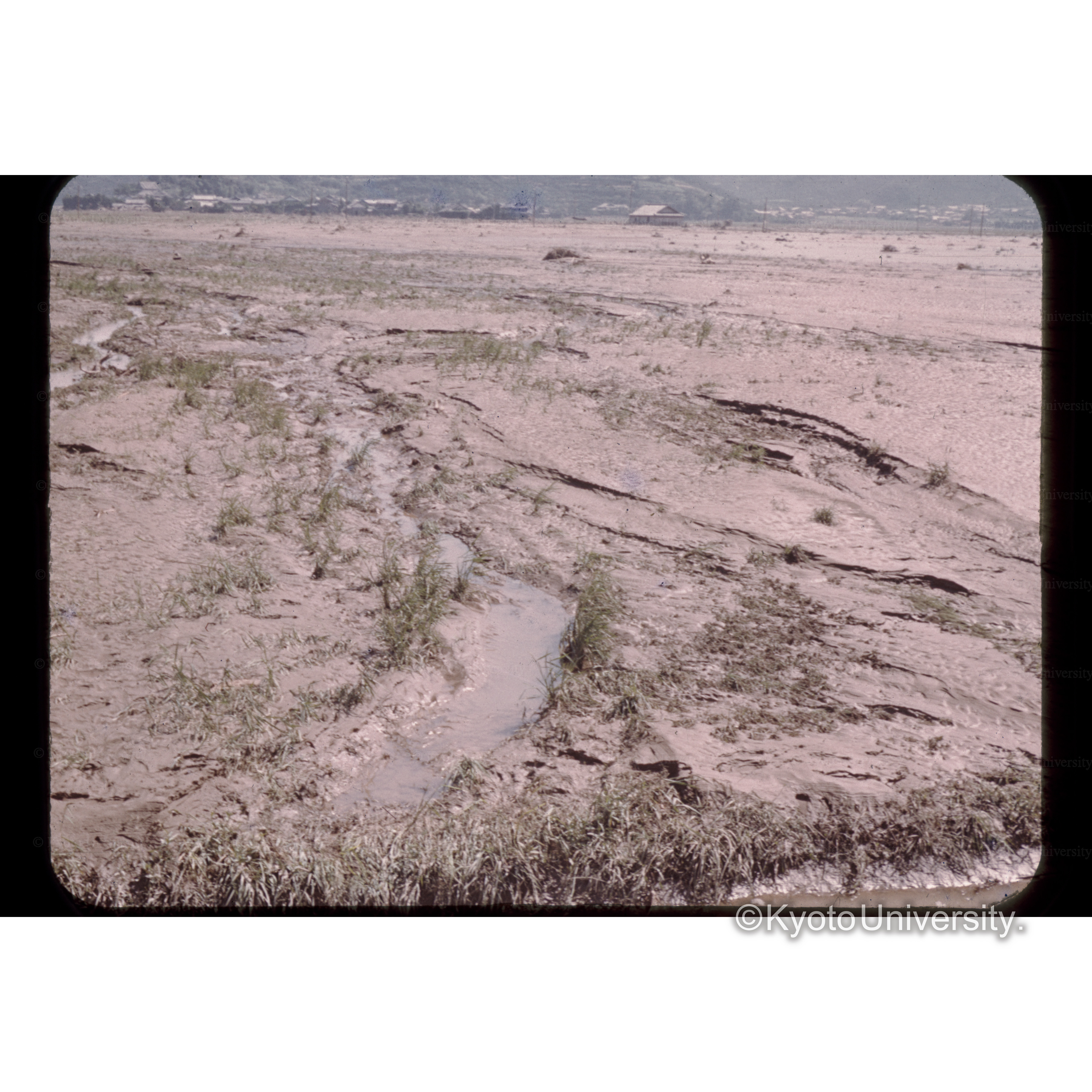 白浜試験地　有田川のハンラン跡 (1)