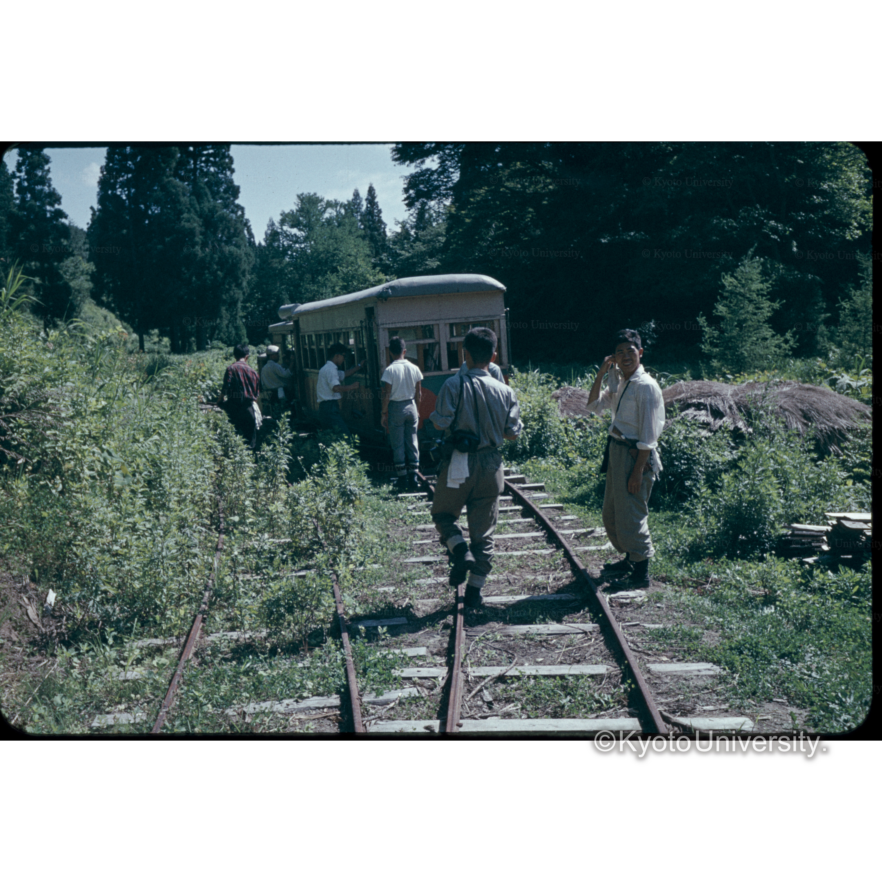 穴川沢（内マンべ）択伐林 (1)