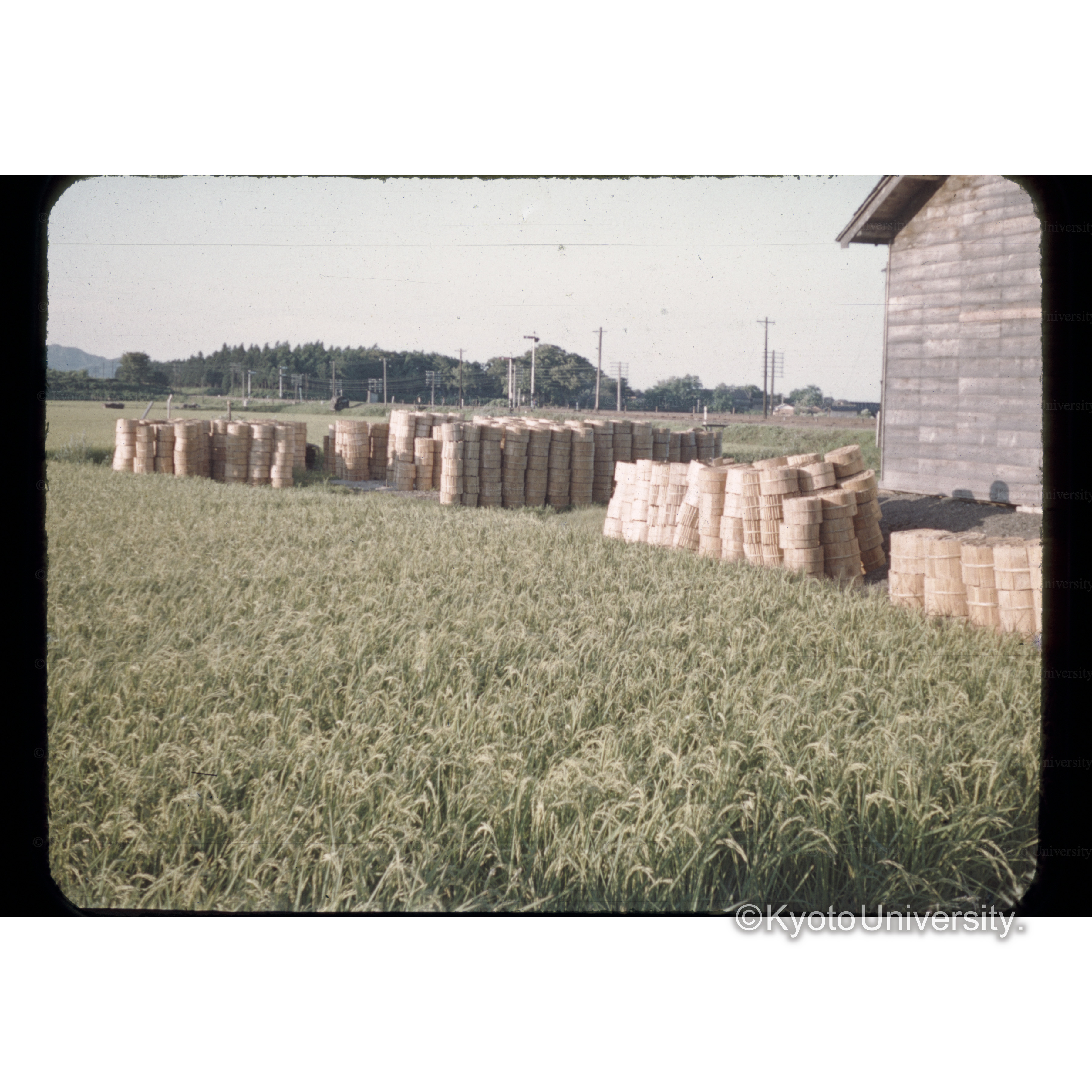 鹿後事業所前の□丸 (1)