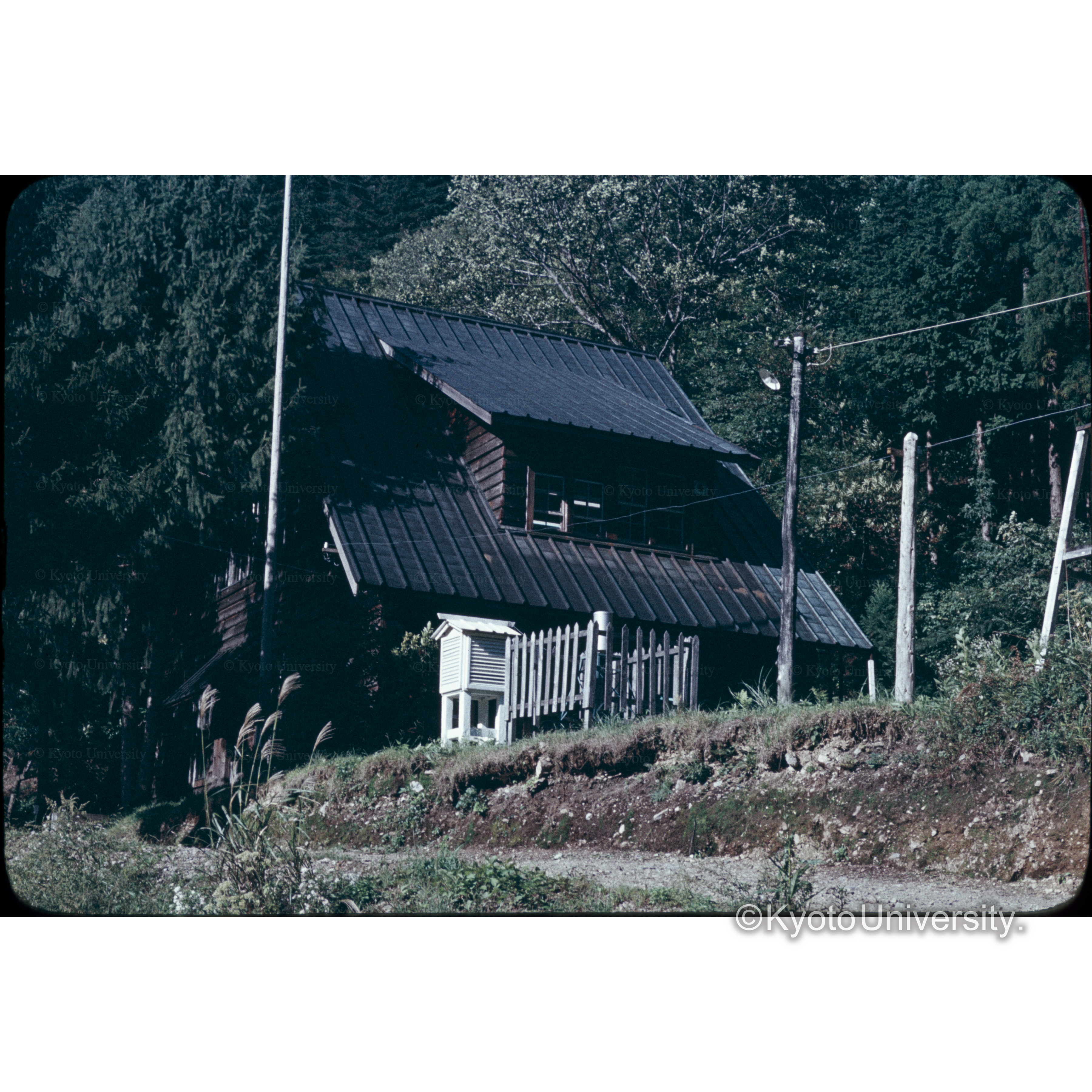 京大芦生演習林 (1)