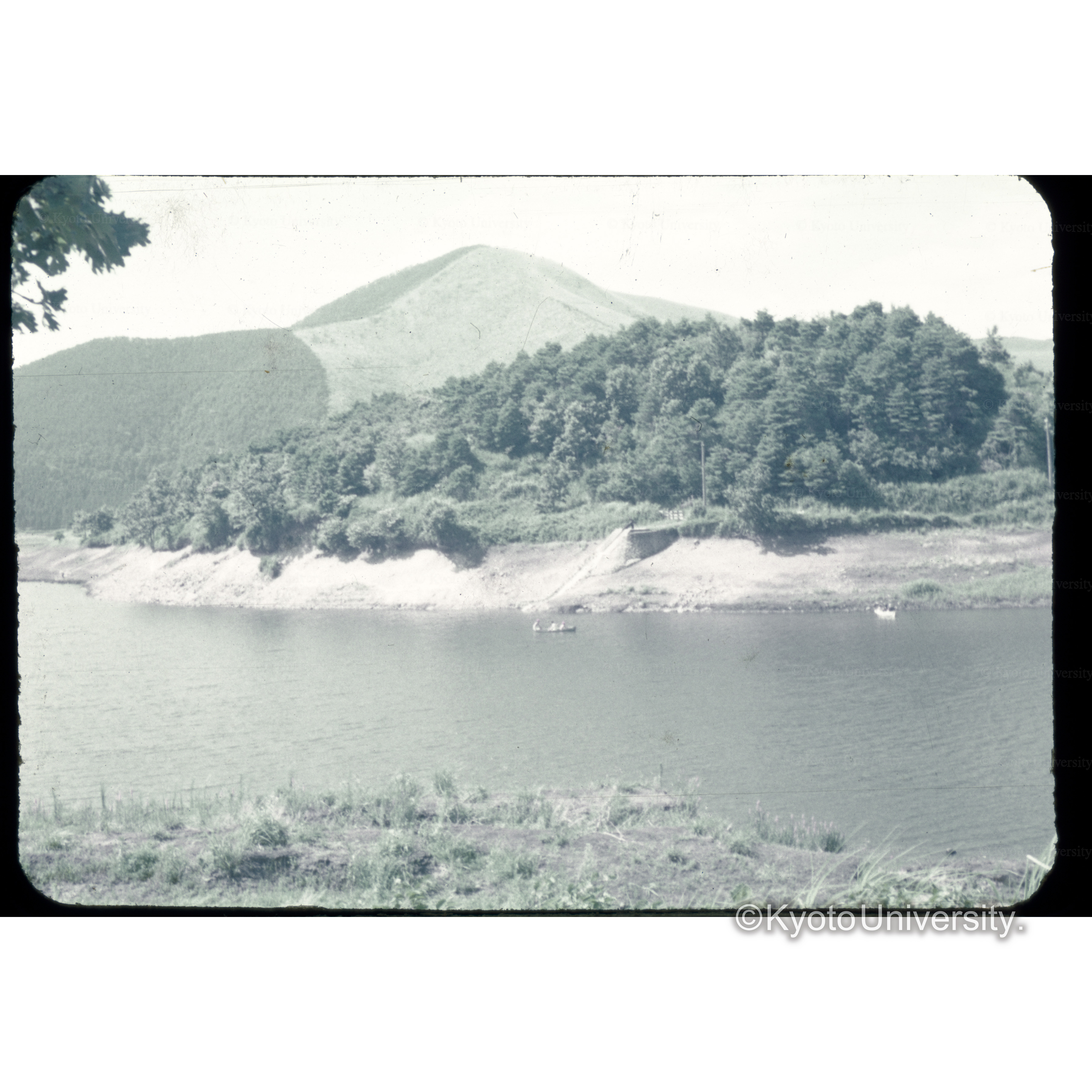 九州林産所石林 (1)