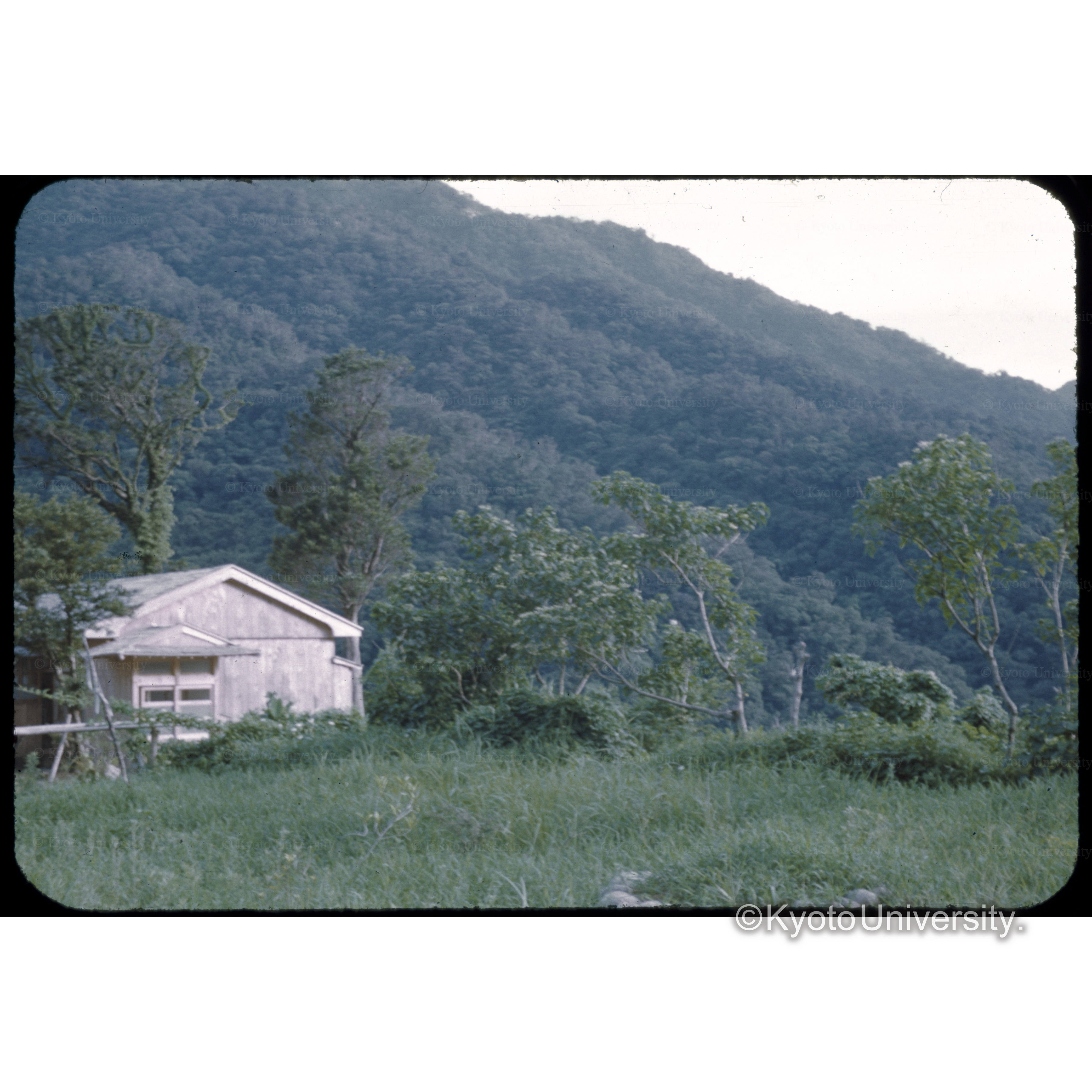 宮之浦事業所 (1)