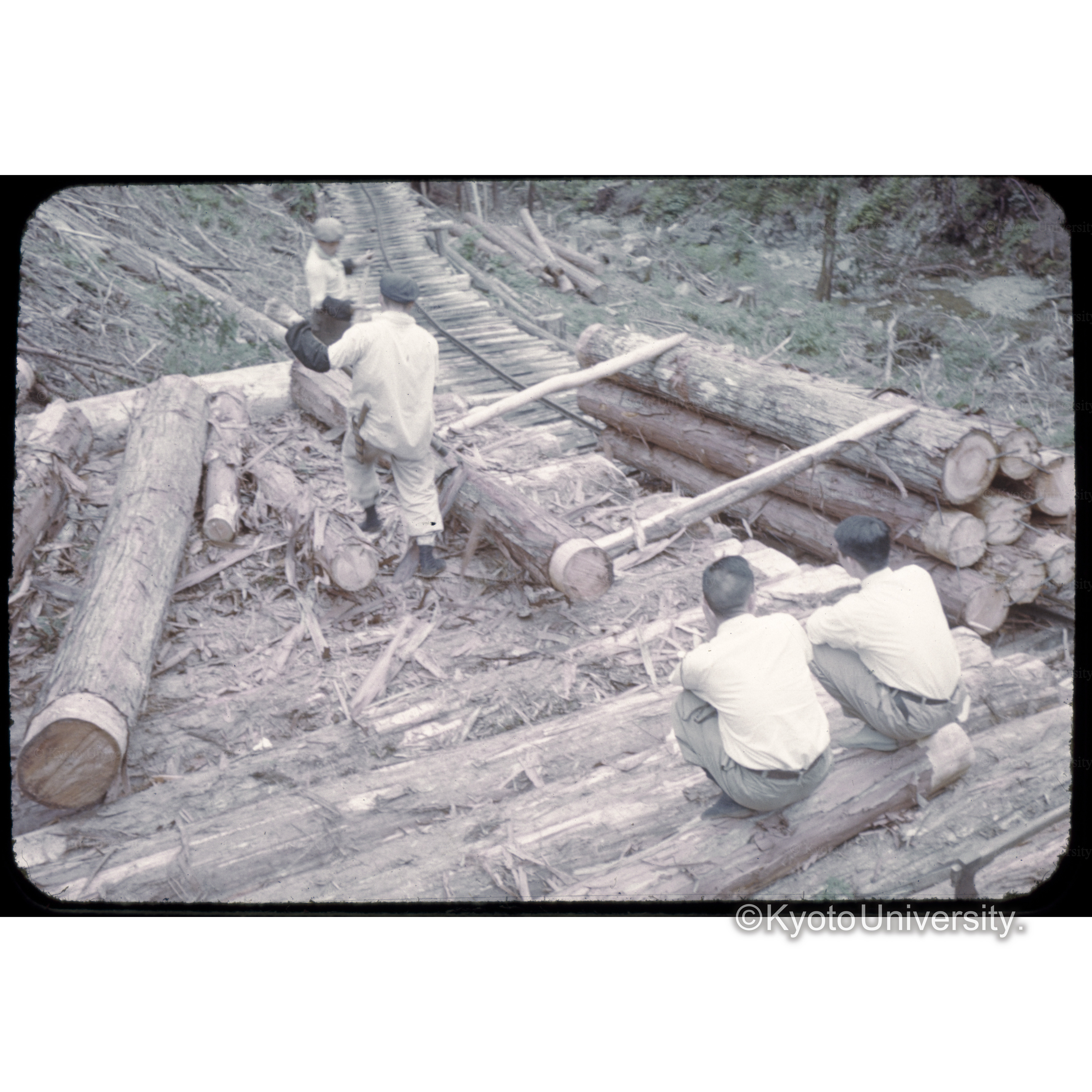 木曽三浦事業区 (1)