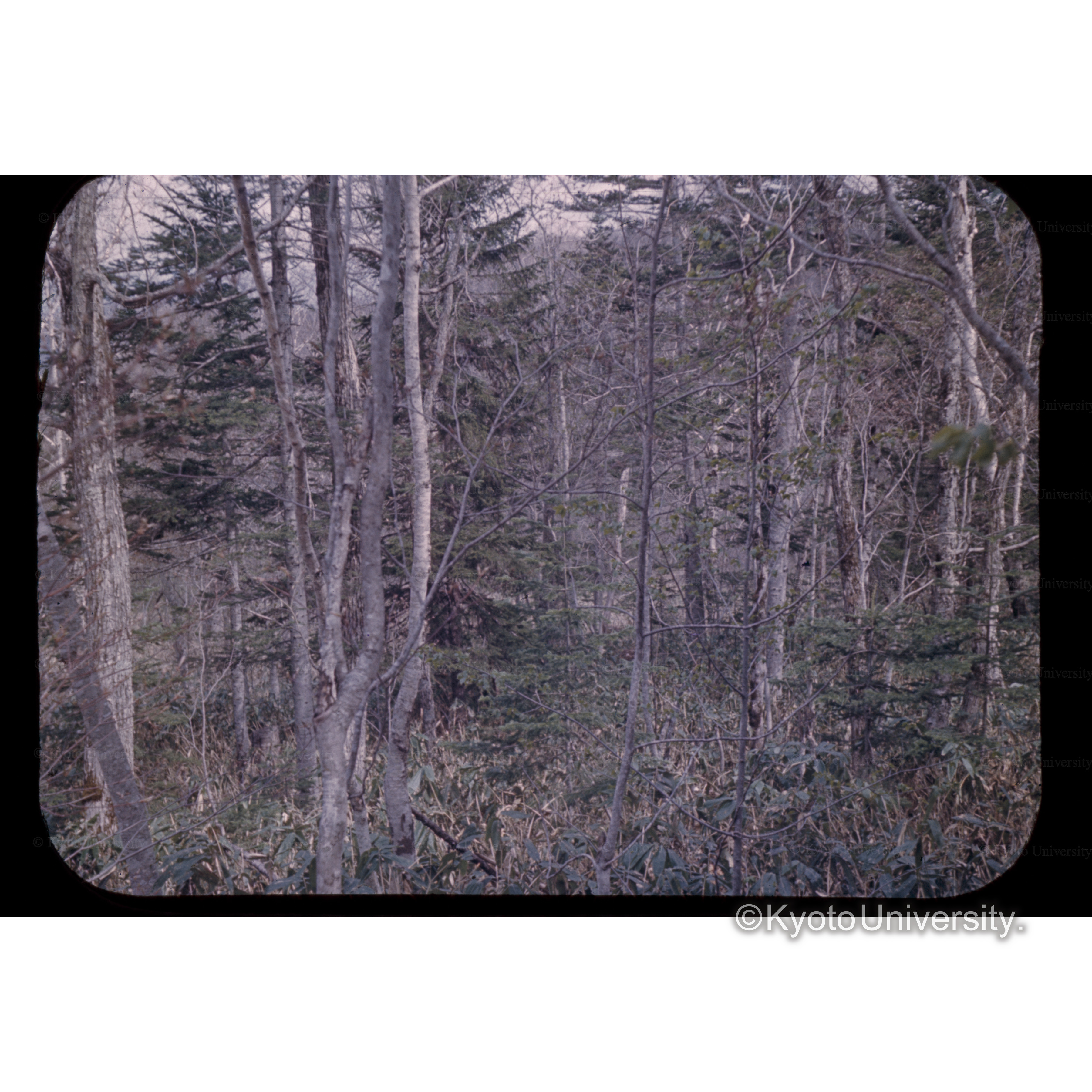 安足間□□□ (1)