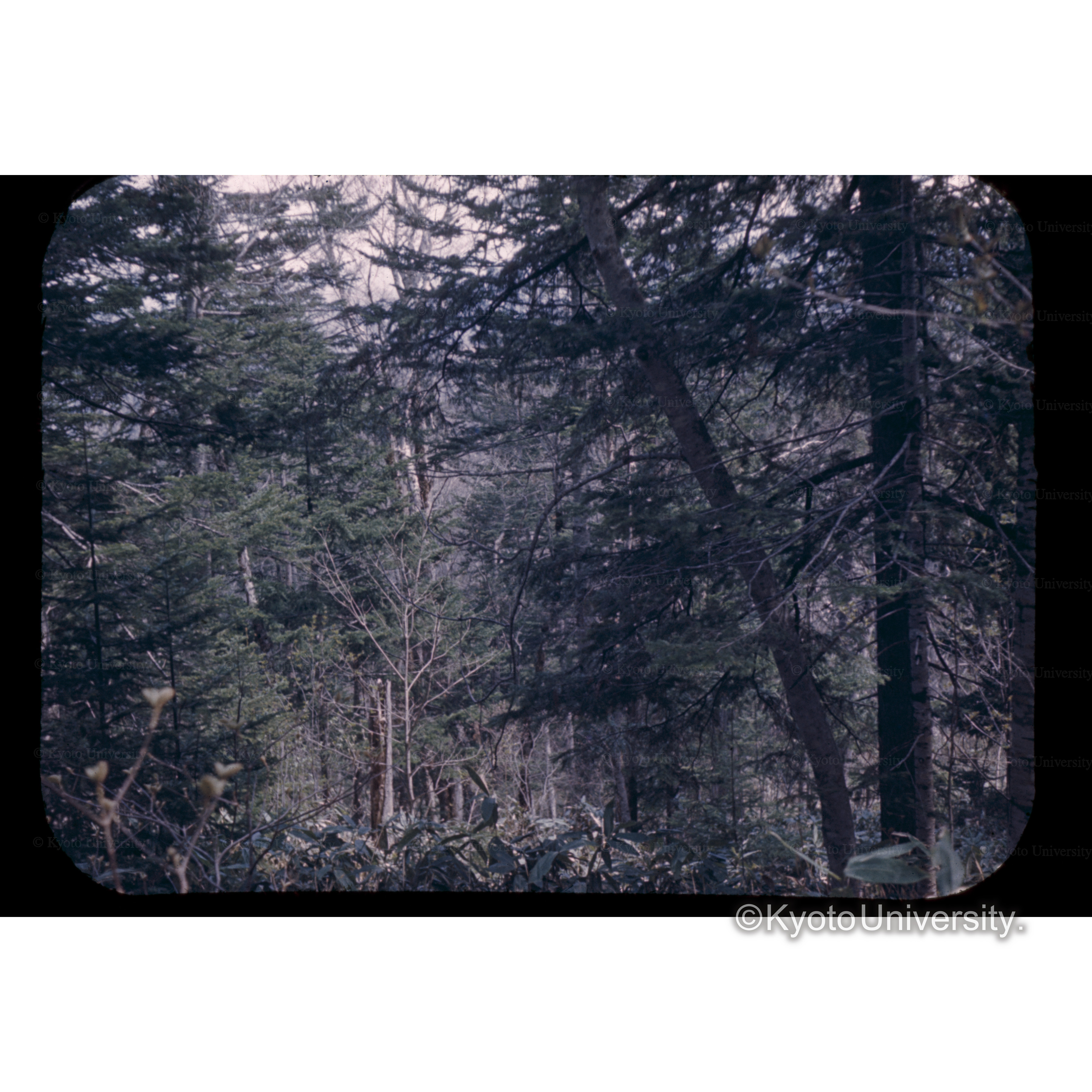 安足間□□□ (1)