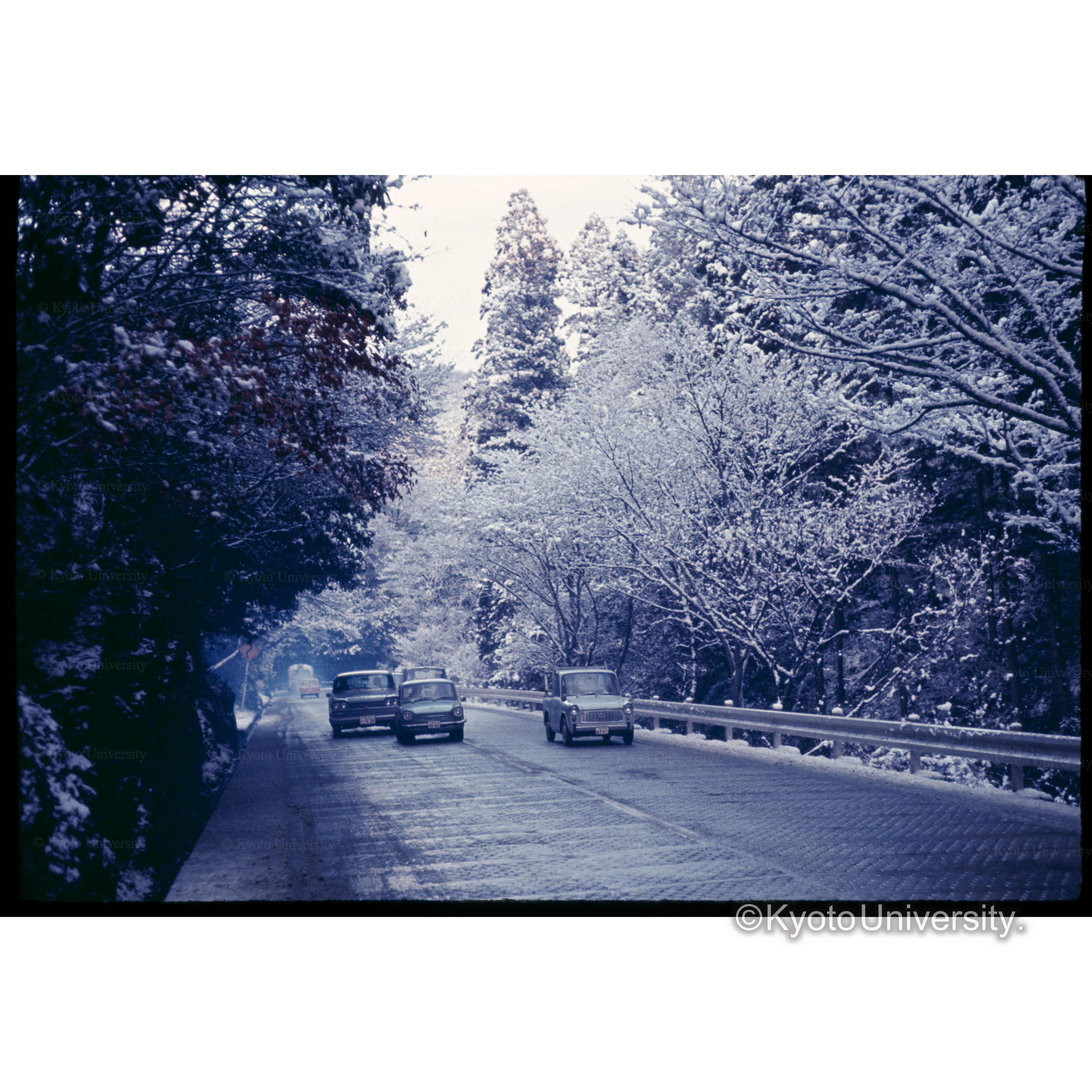 大枝　国道9号線 (1)