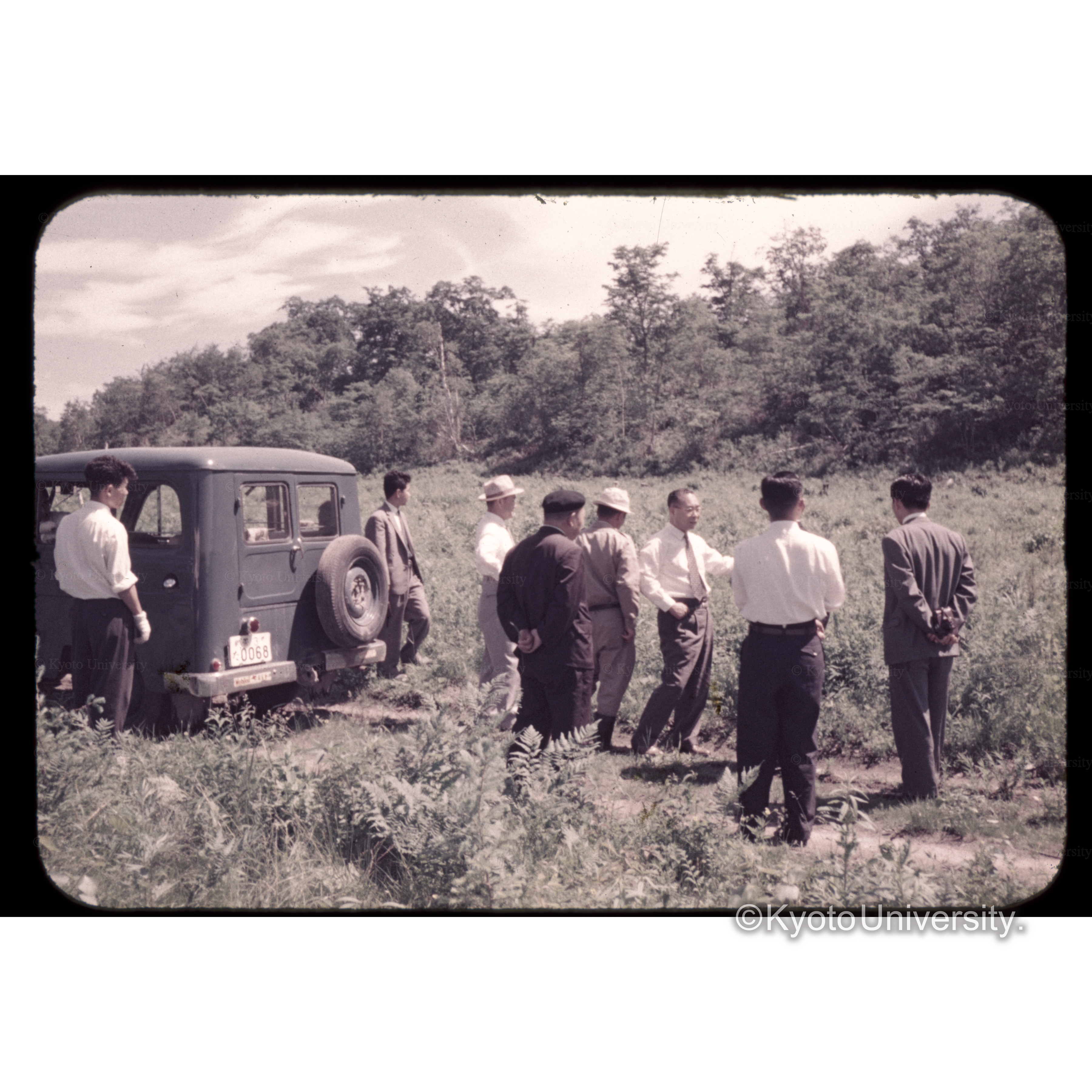 京大標茶演習林 (1)