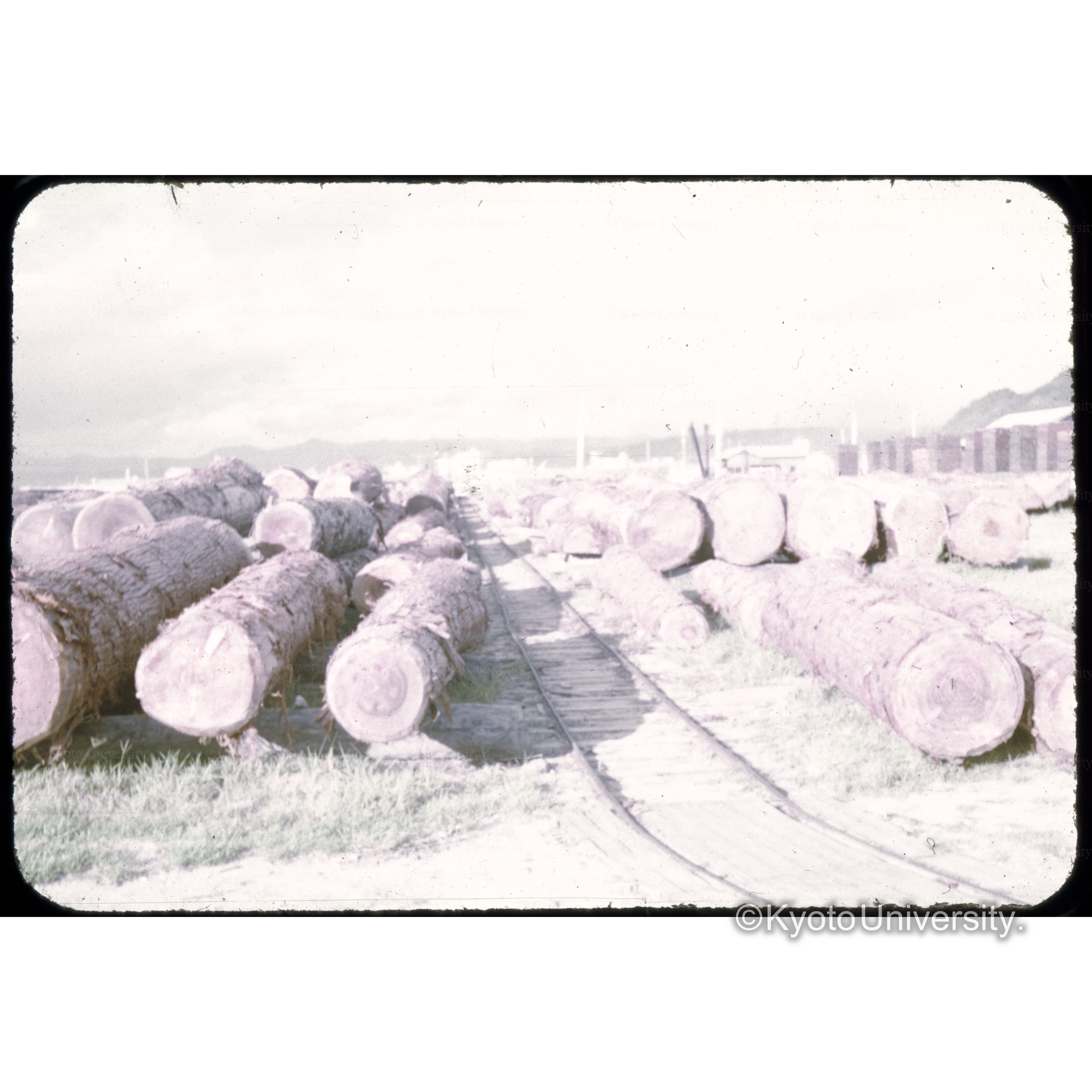 鹿児島営林□工場 (1)