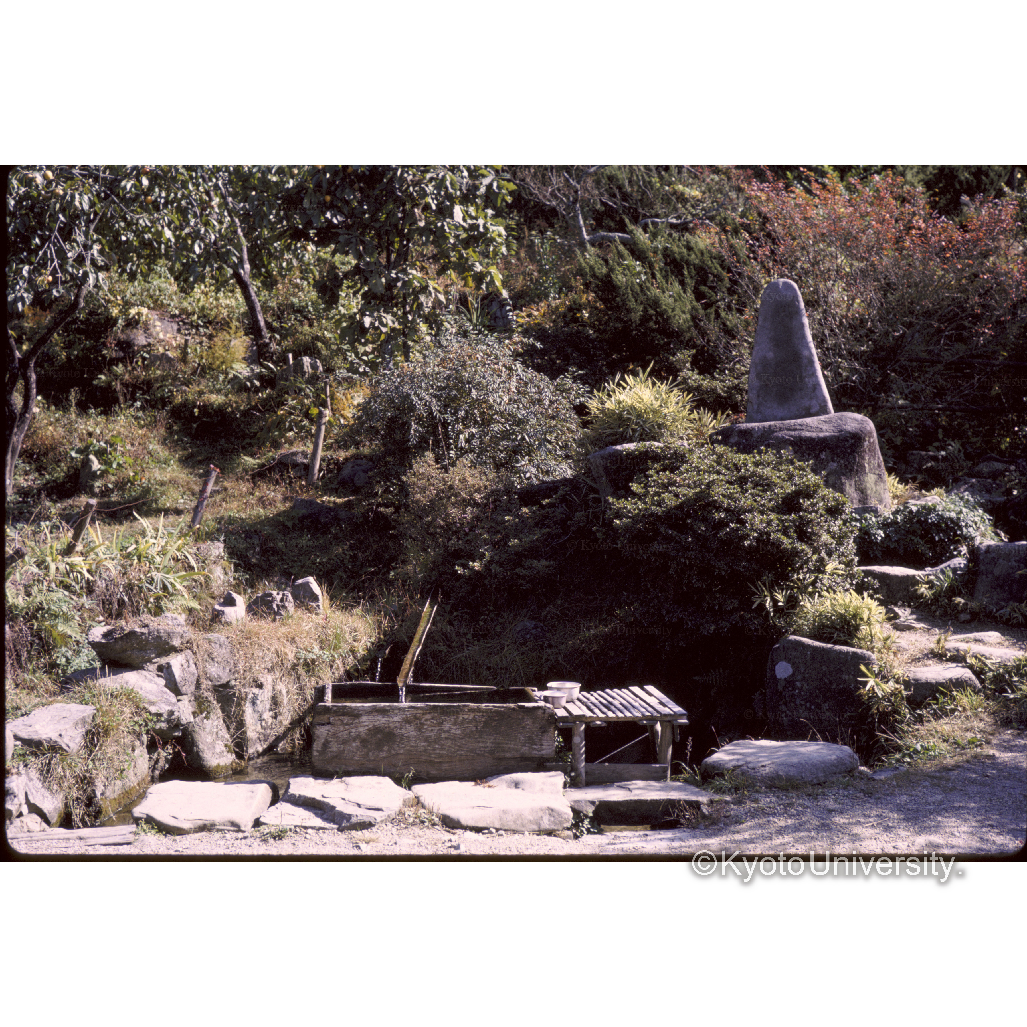 十曲峠への道の裏 (1)