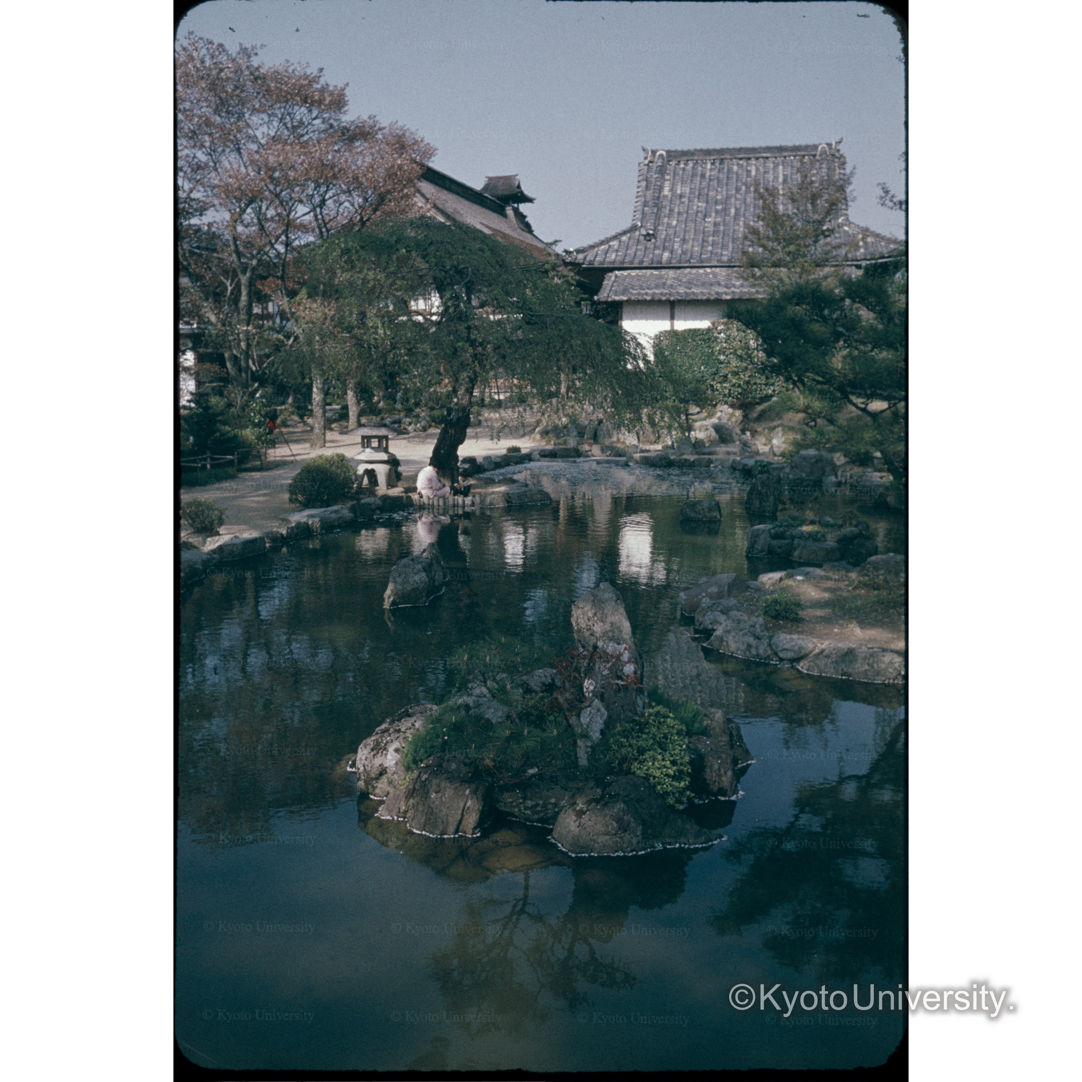 Chikurinin(Yoshino) (1)