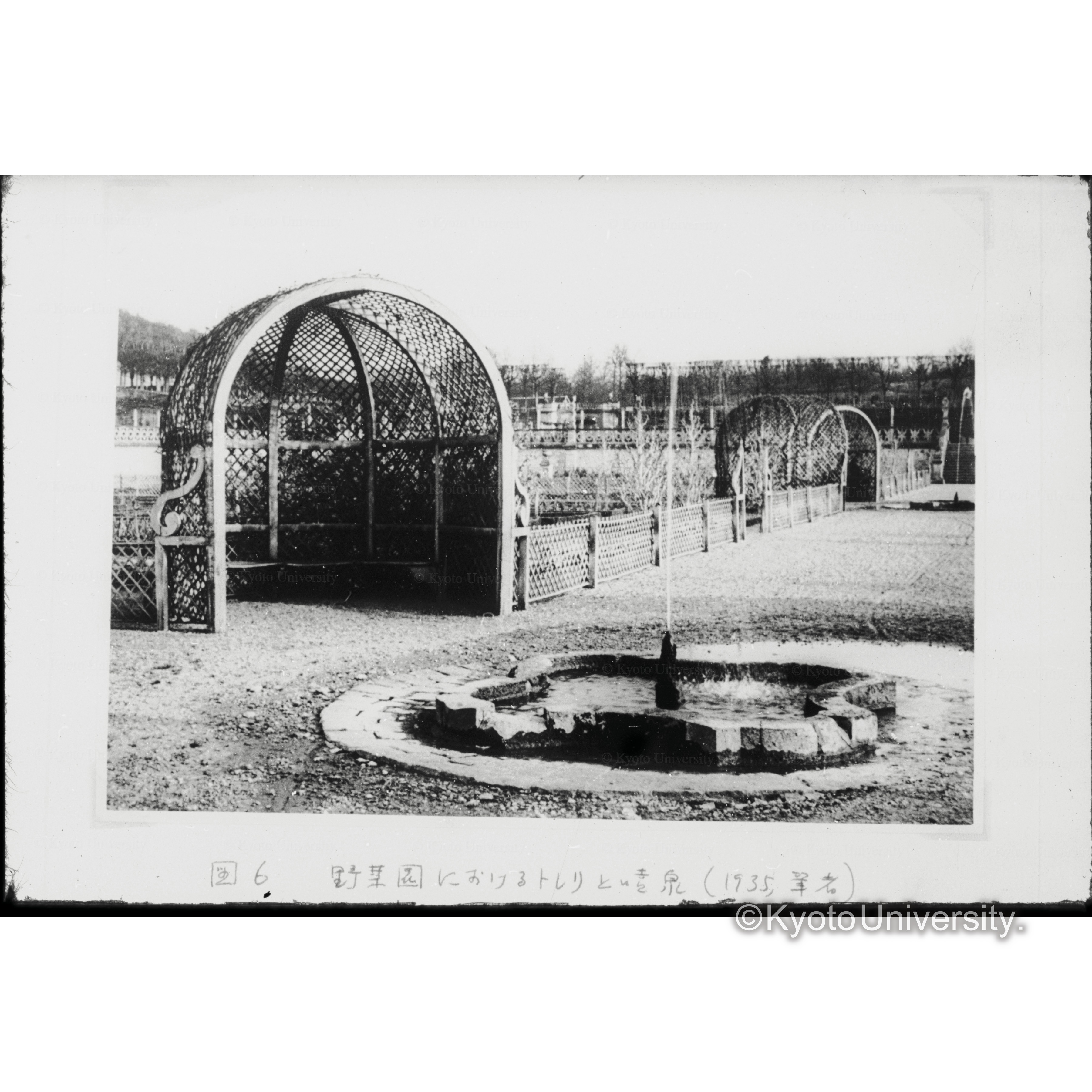 野菜園におけるトレリと噴水〔庭園のパーゴラと噴水〕 (1)