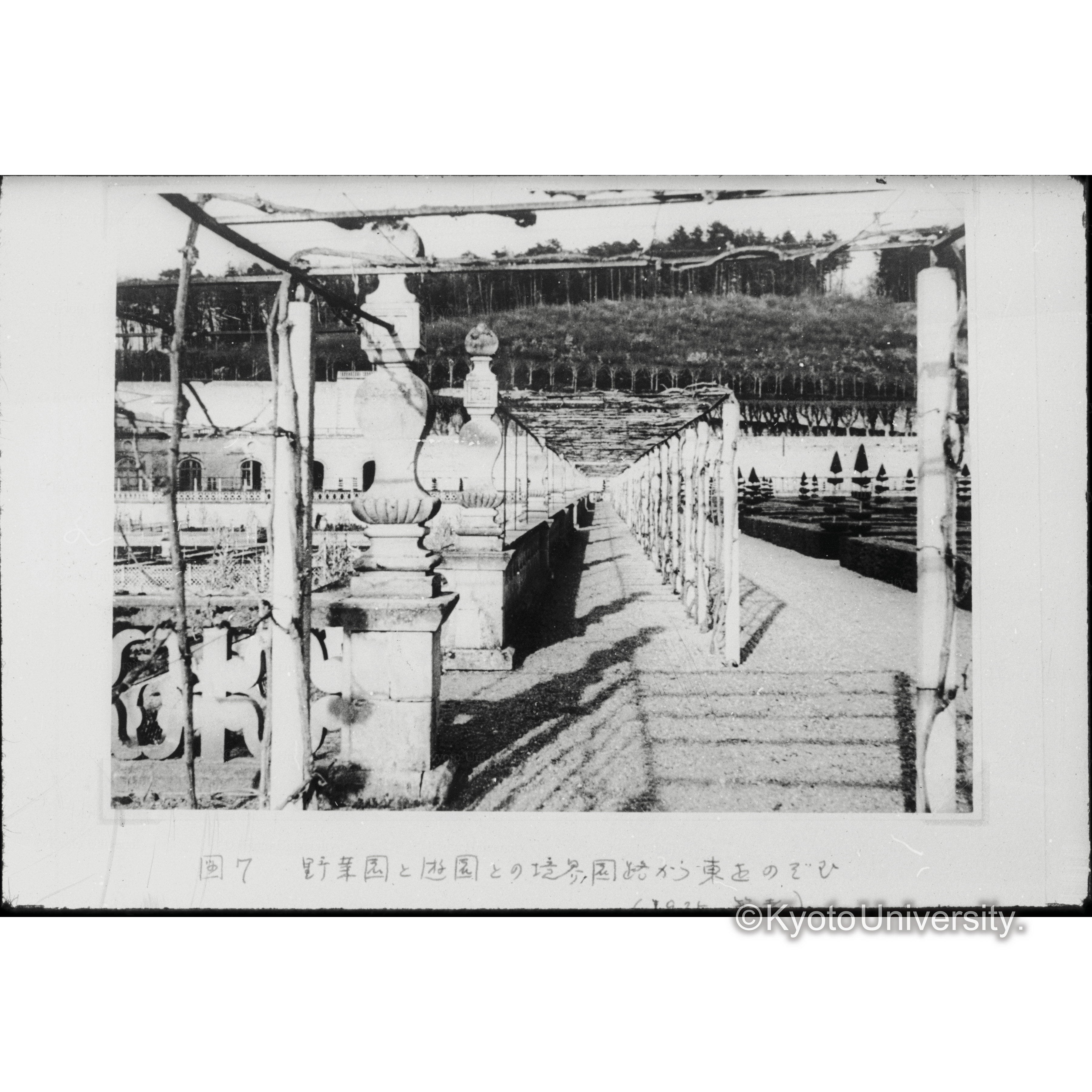 野菜園と遊園の境界園路から東をのぞむ (1)