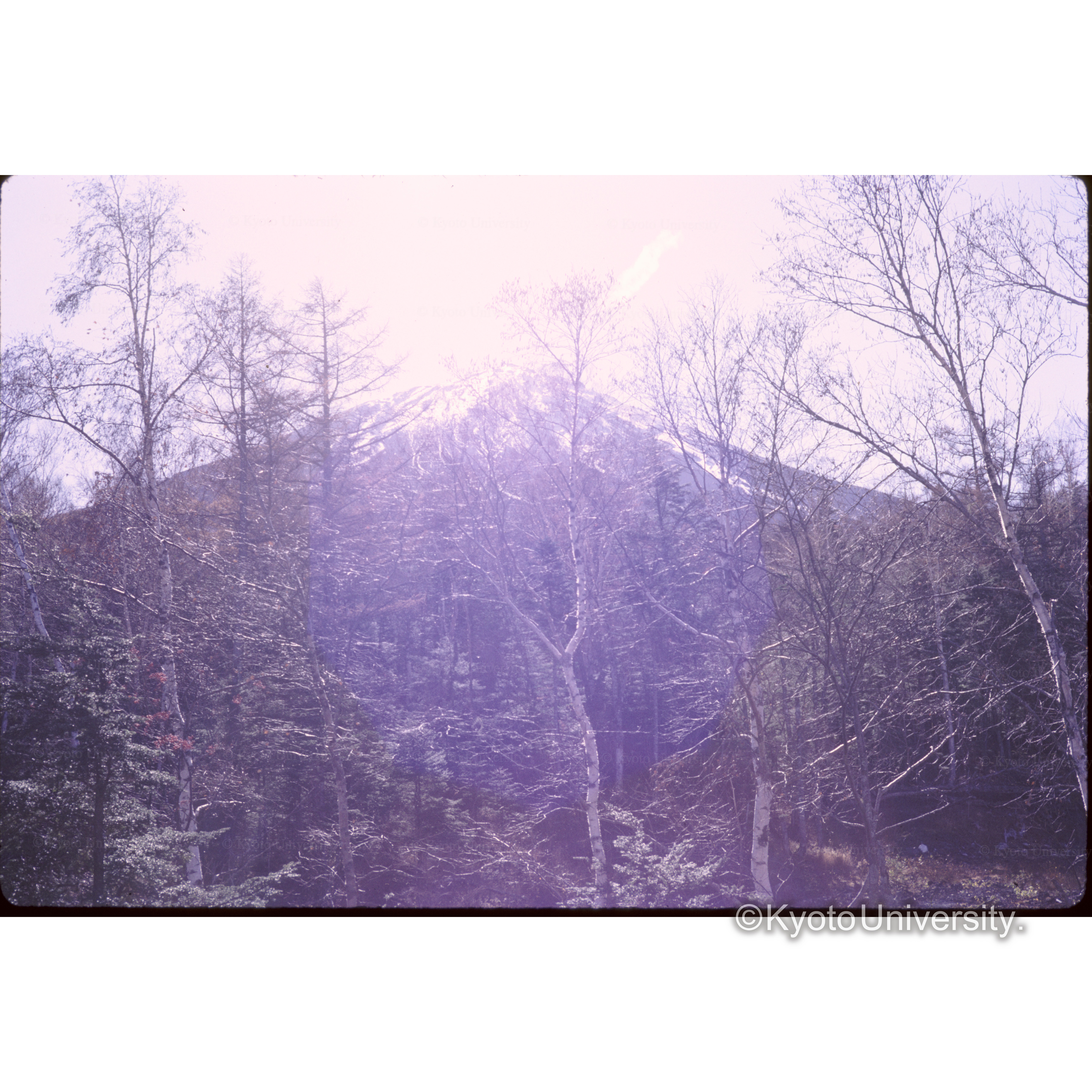 スバルラインのViewpoint (1)