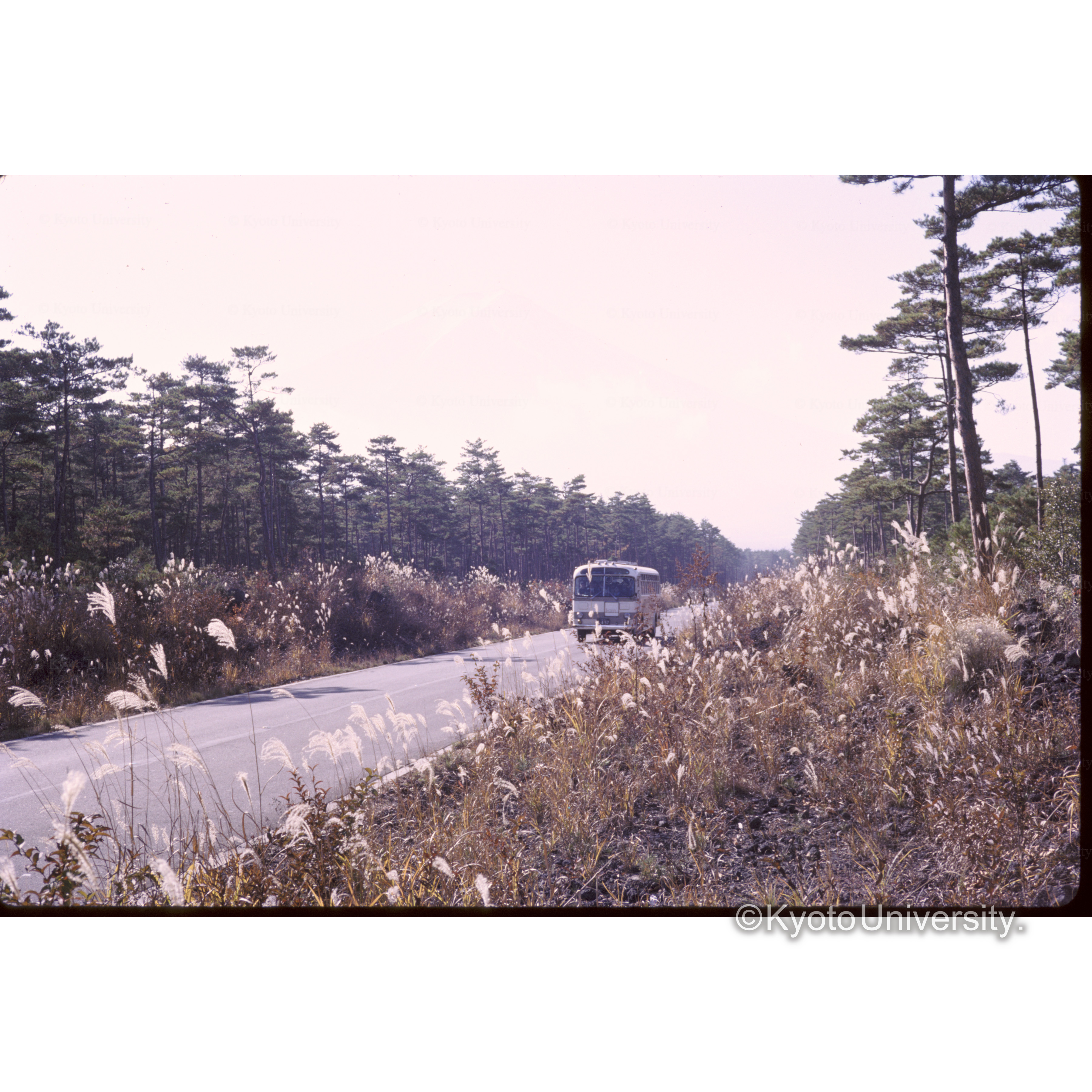 スバルライン (1)