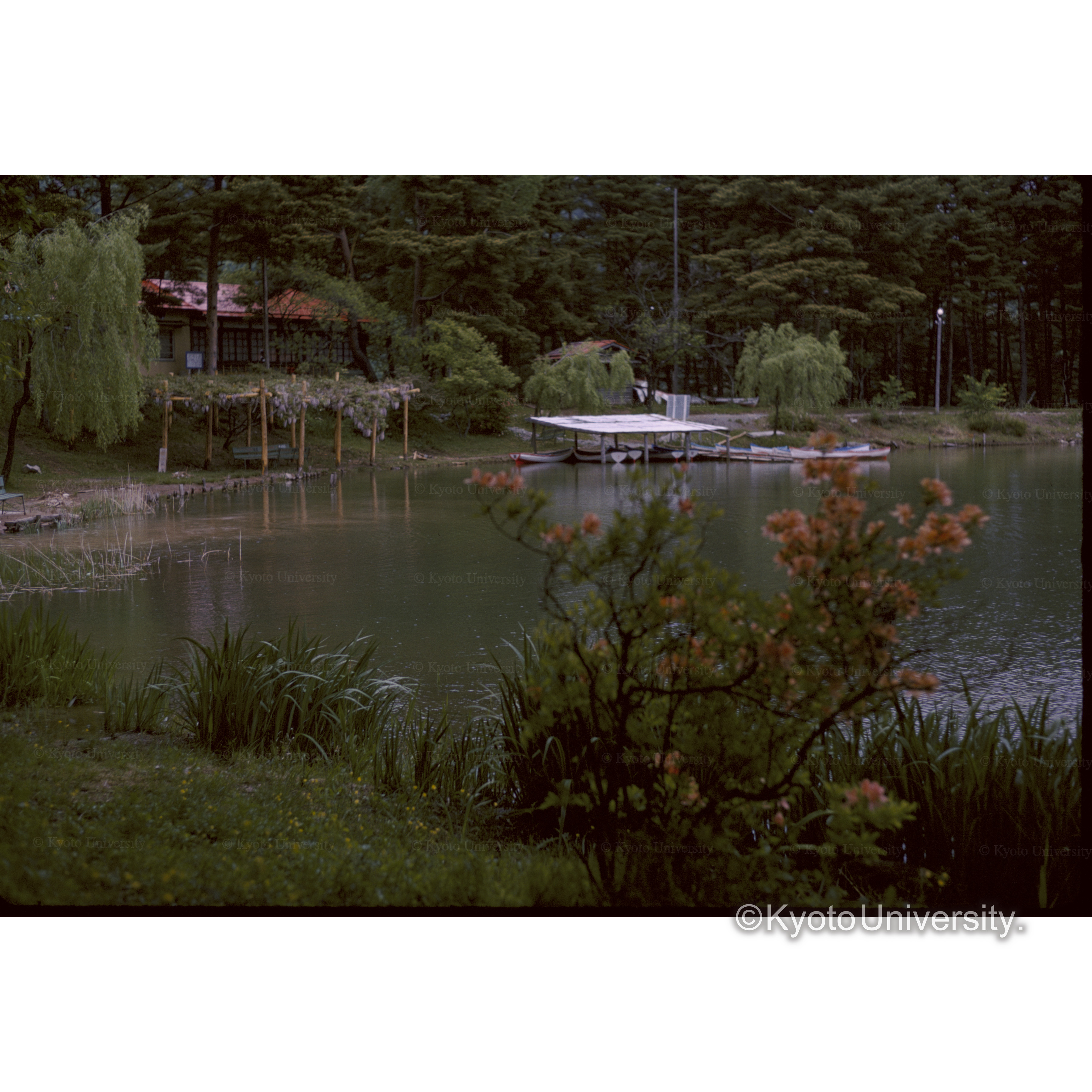 飯島町千人塚 (1)