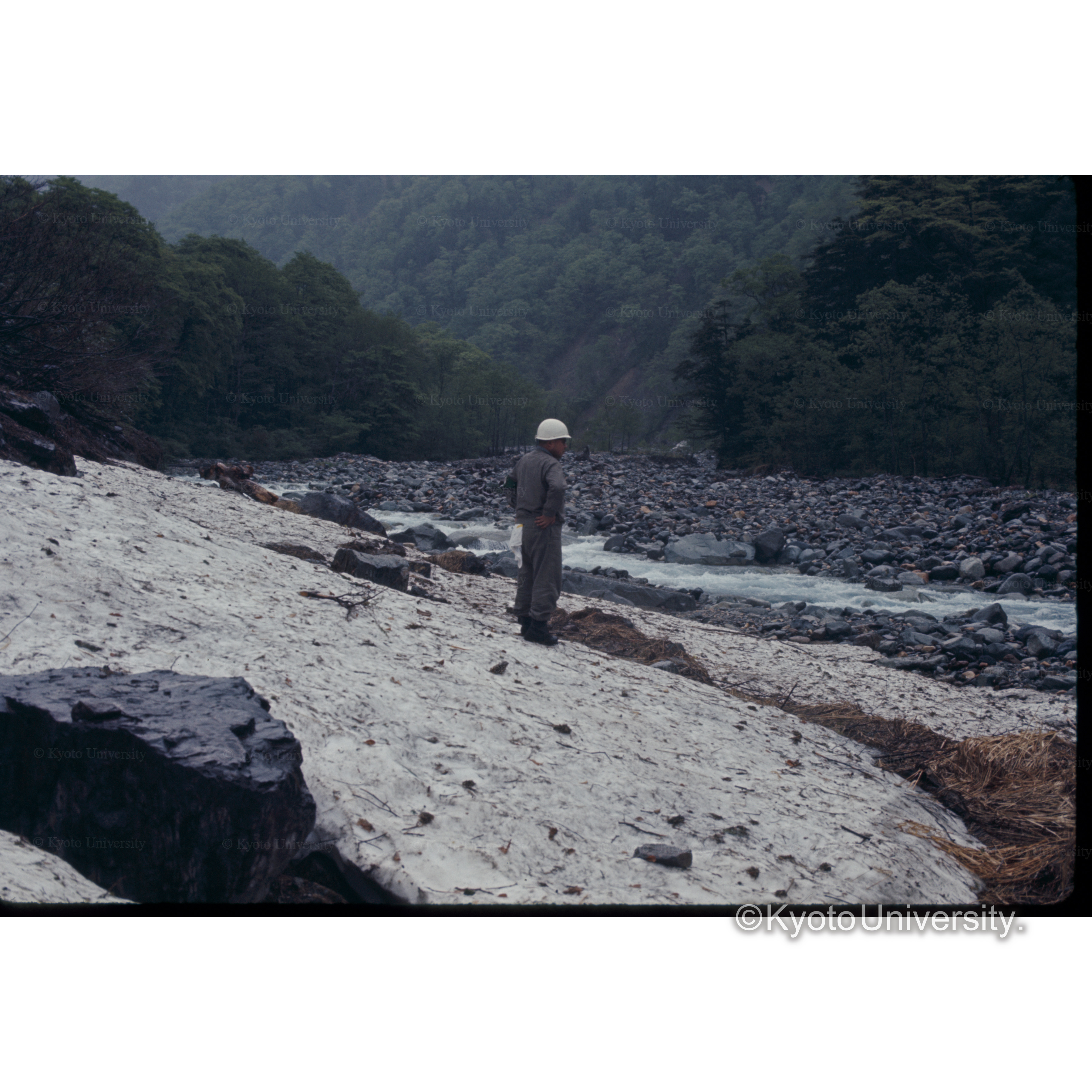 左俣谷(ワサビ谷への道) (1)