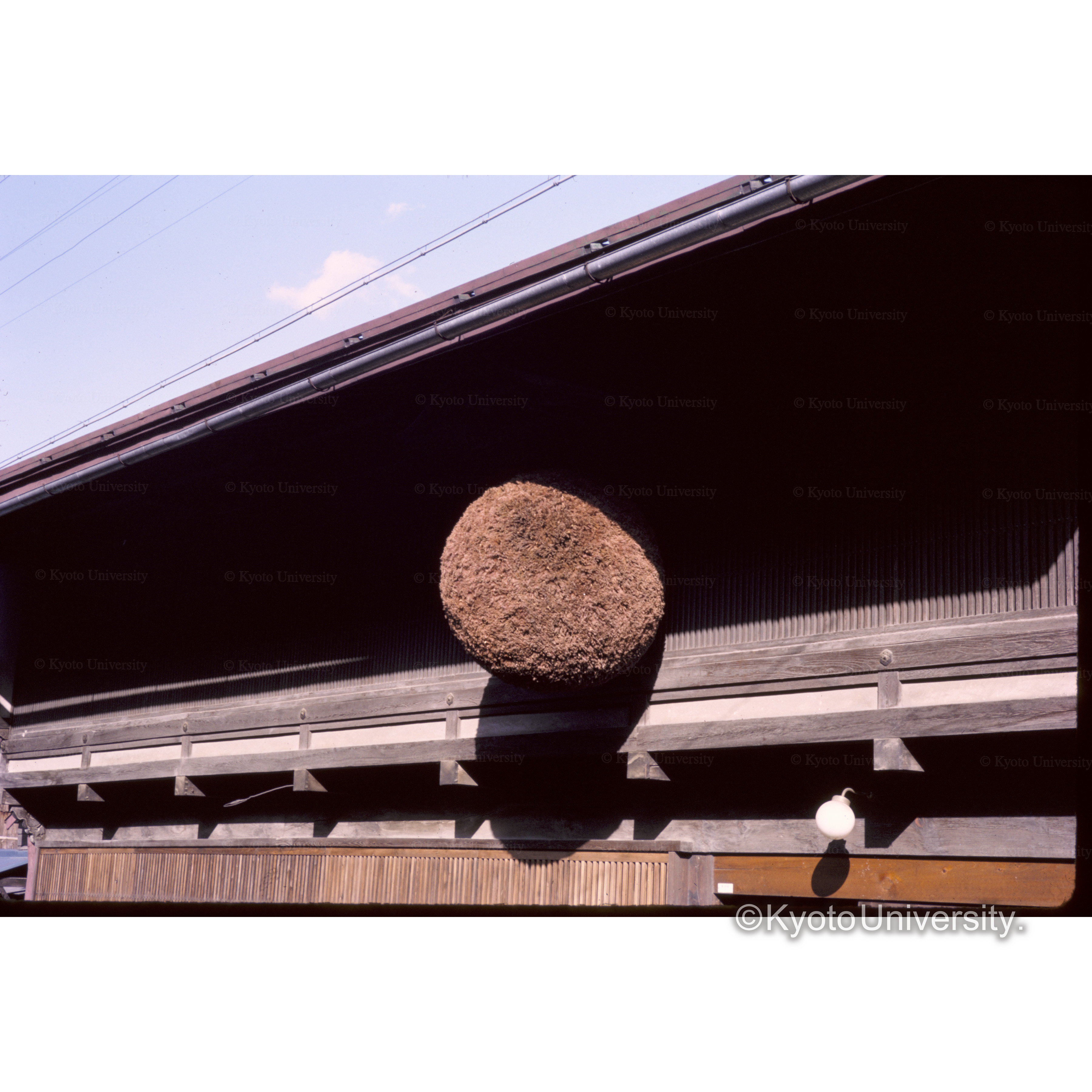 奈良井(□道□) (1)