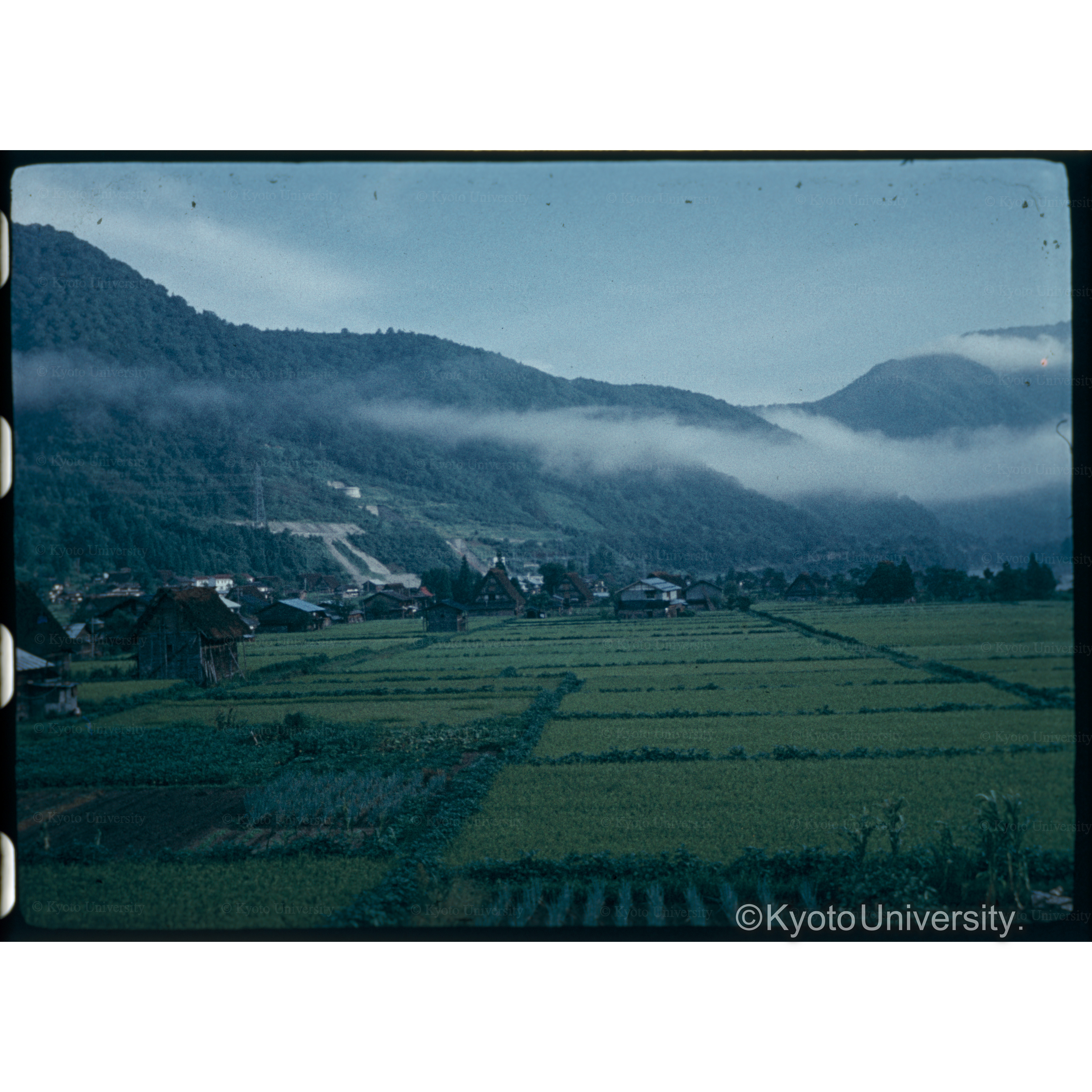 鳩ヶ谷(荘川) (1)