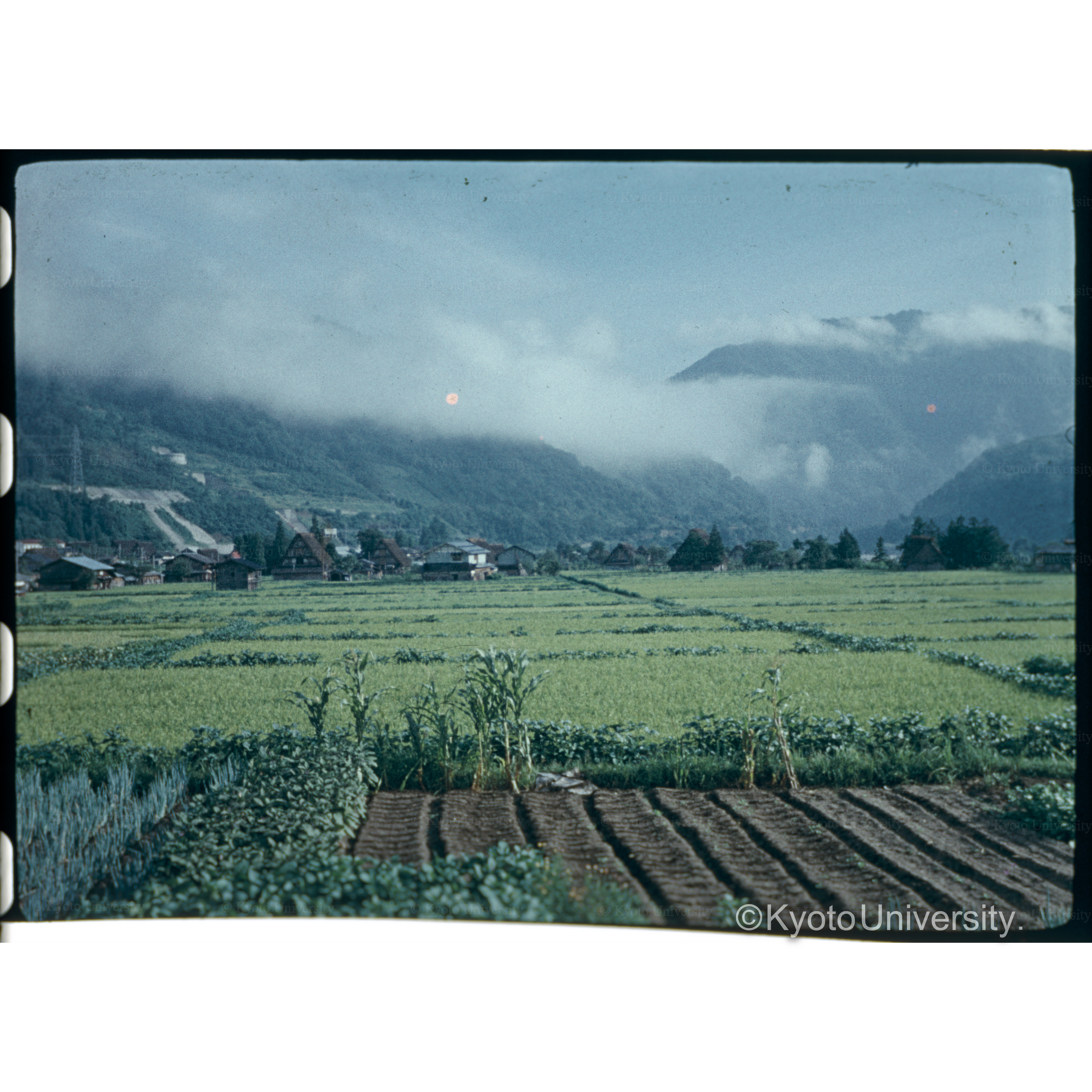 鳩ヶ谷(荘川) (1)