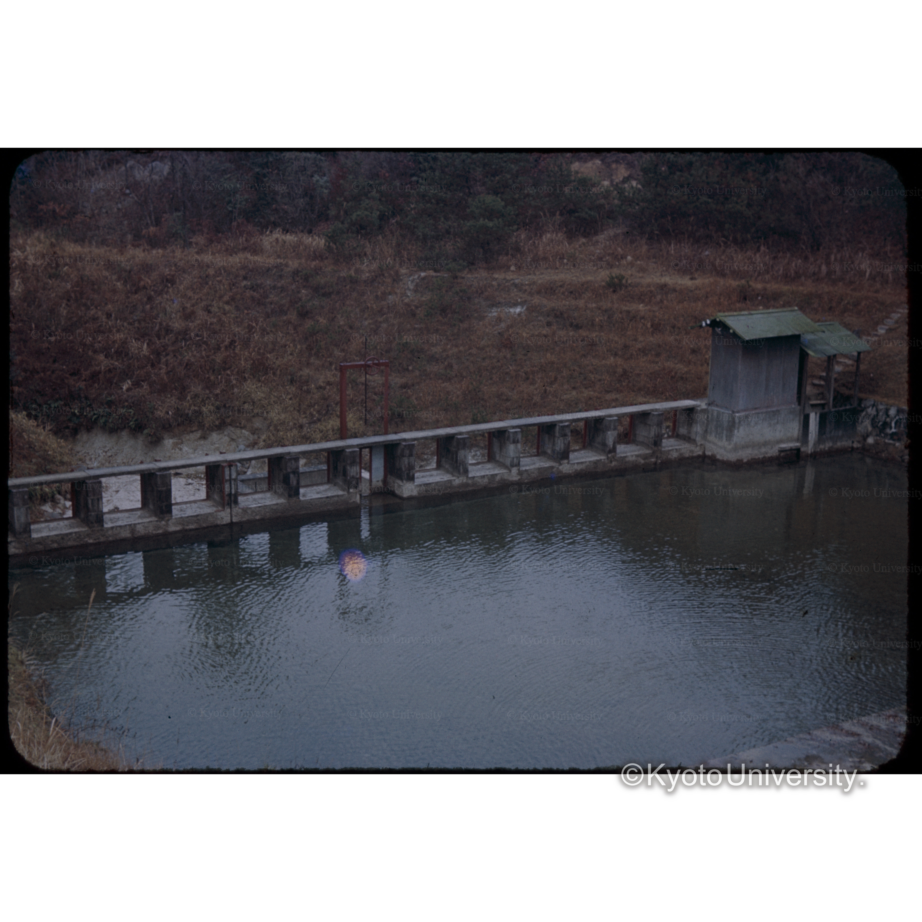 京大愛知県演習林 (1)