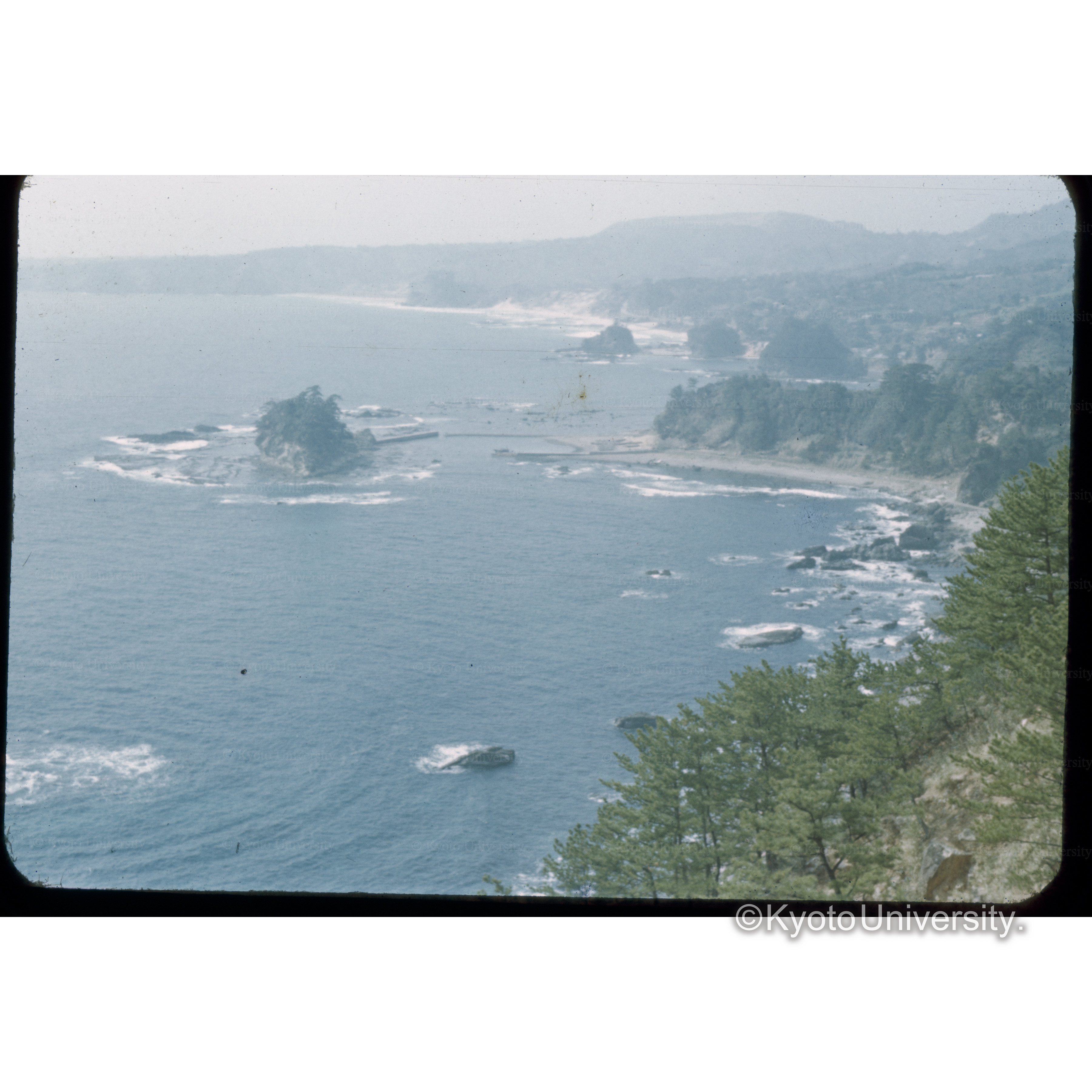 白浜(伊豆)附近 (1)