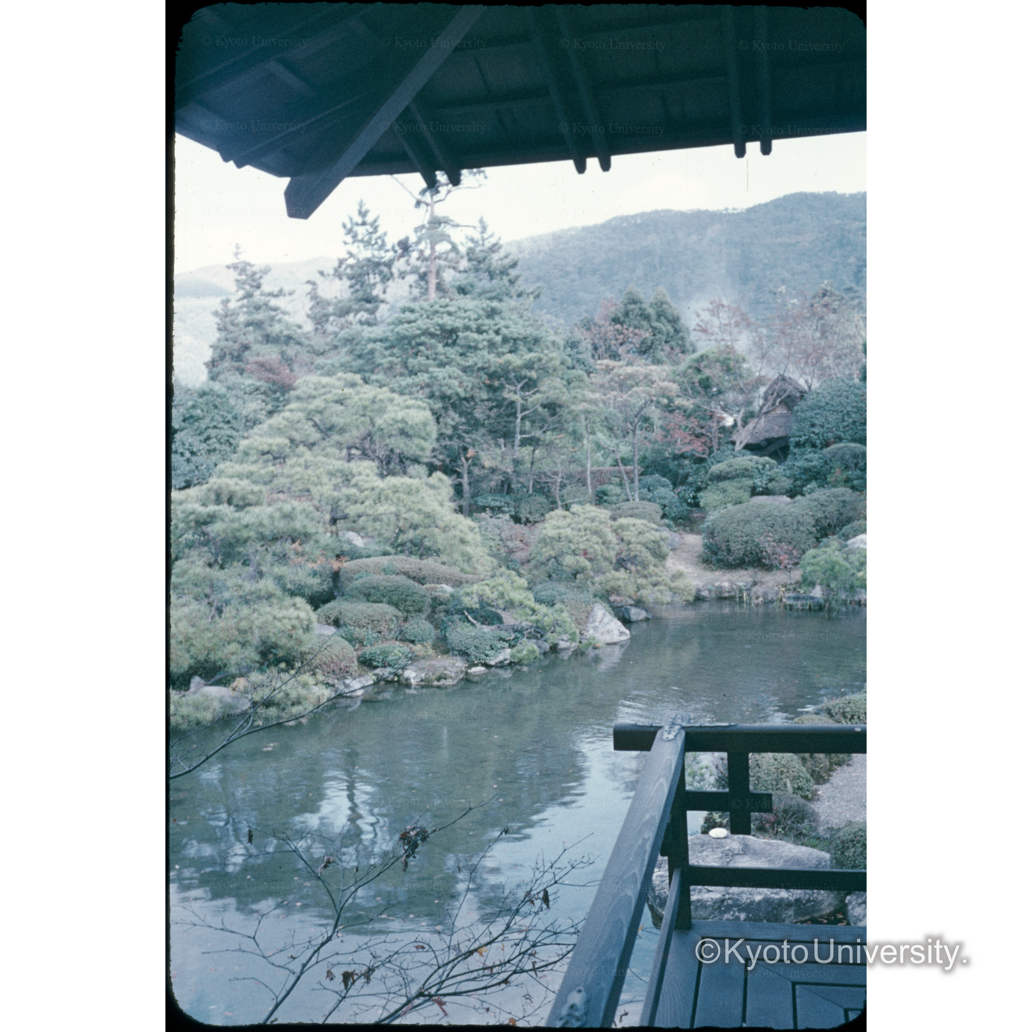 竜山荘(市村) (1)