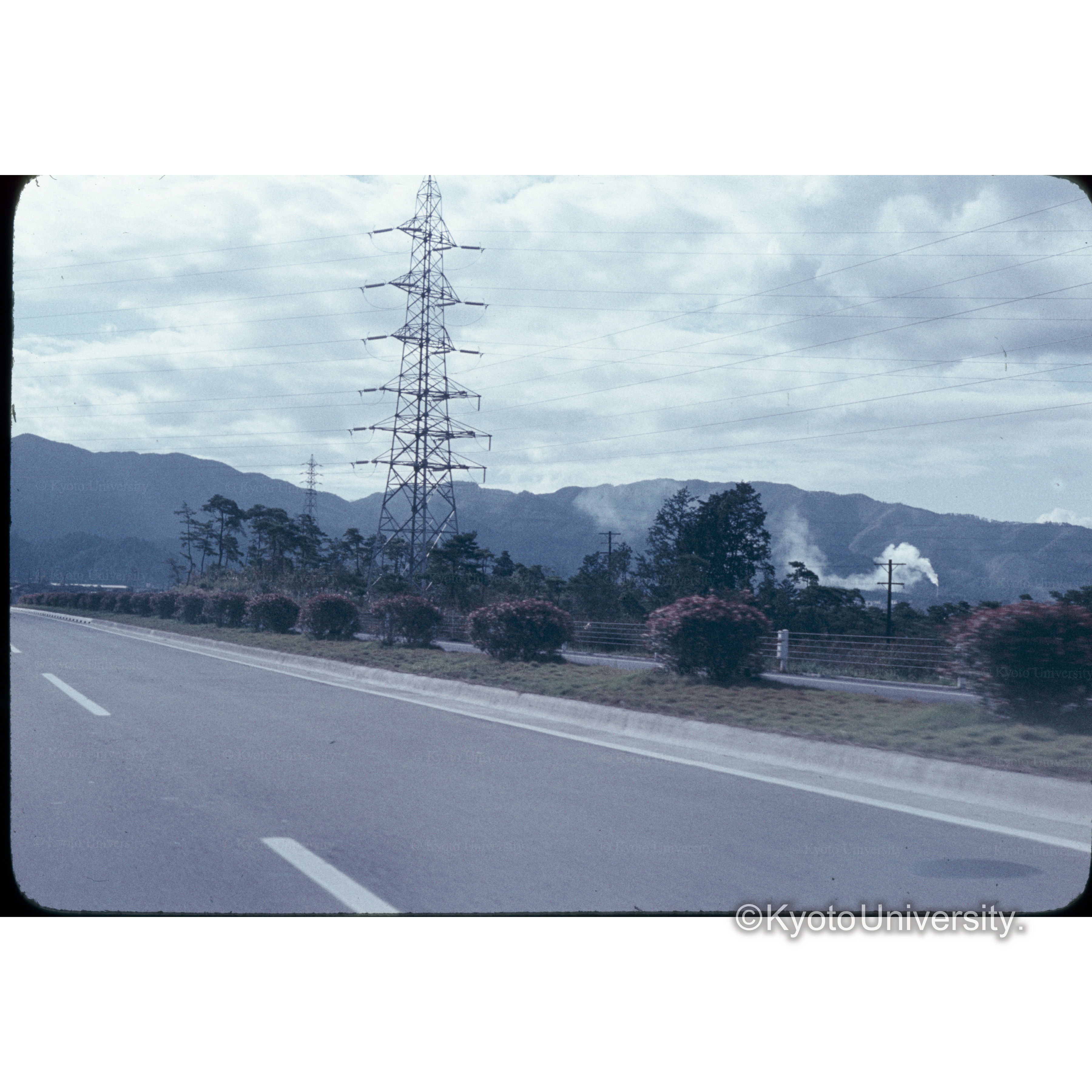 栗東－京都南(ハコネウツギ) (1)