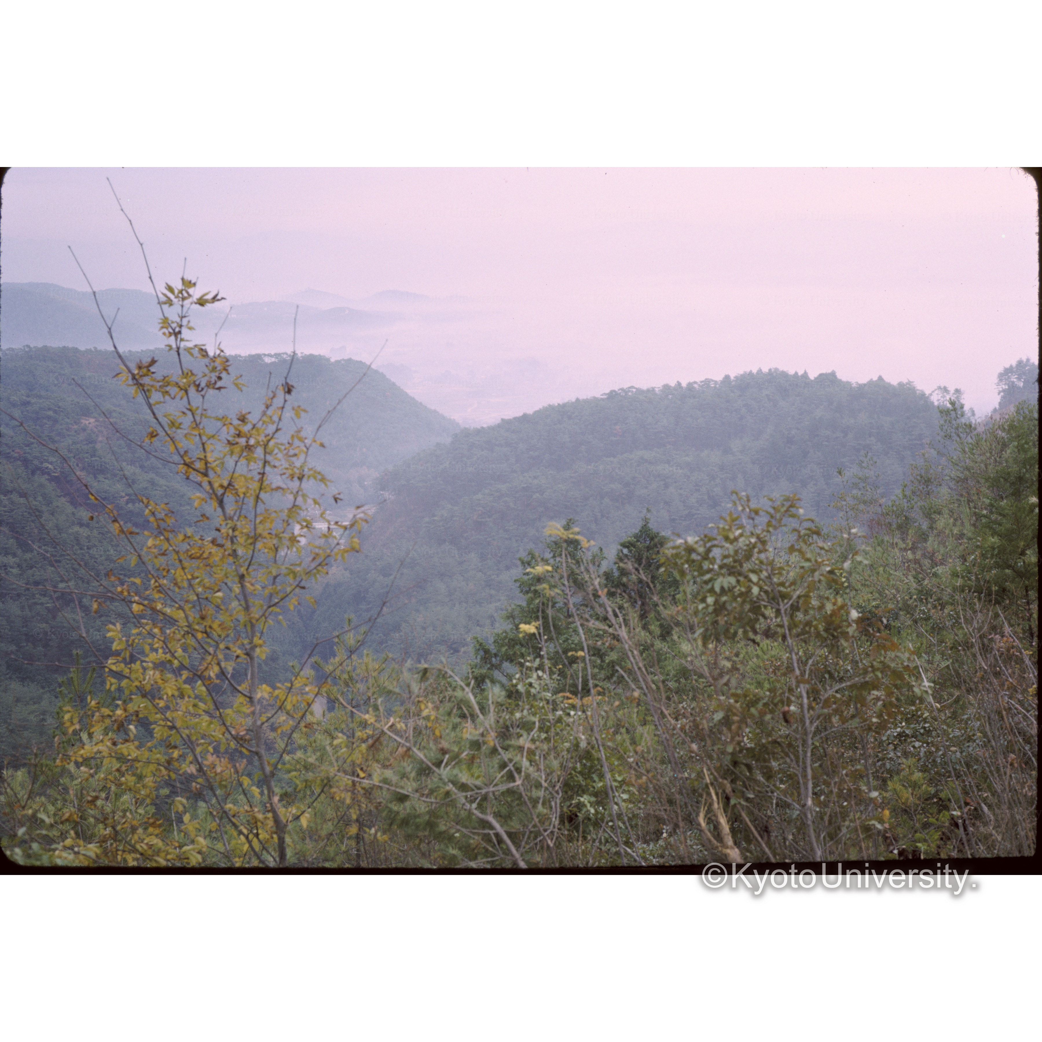 西山ハイウエー (1)