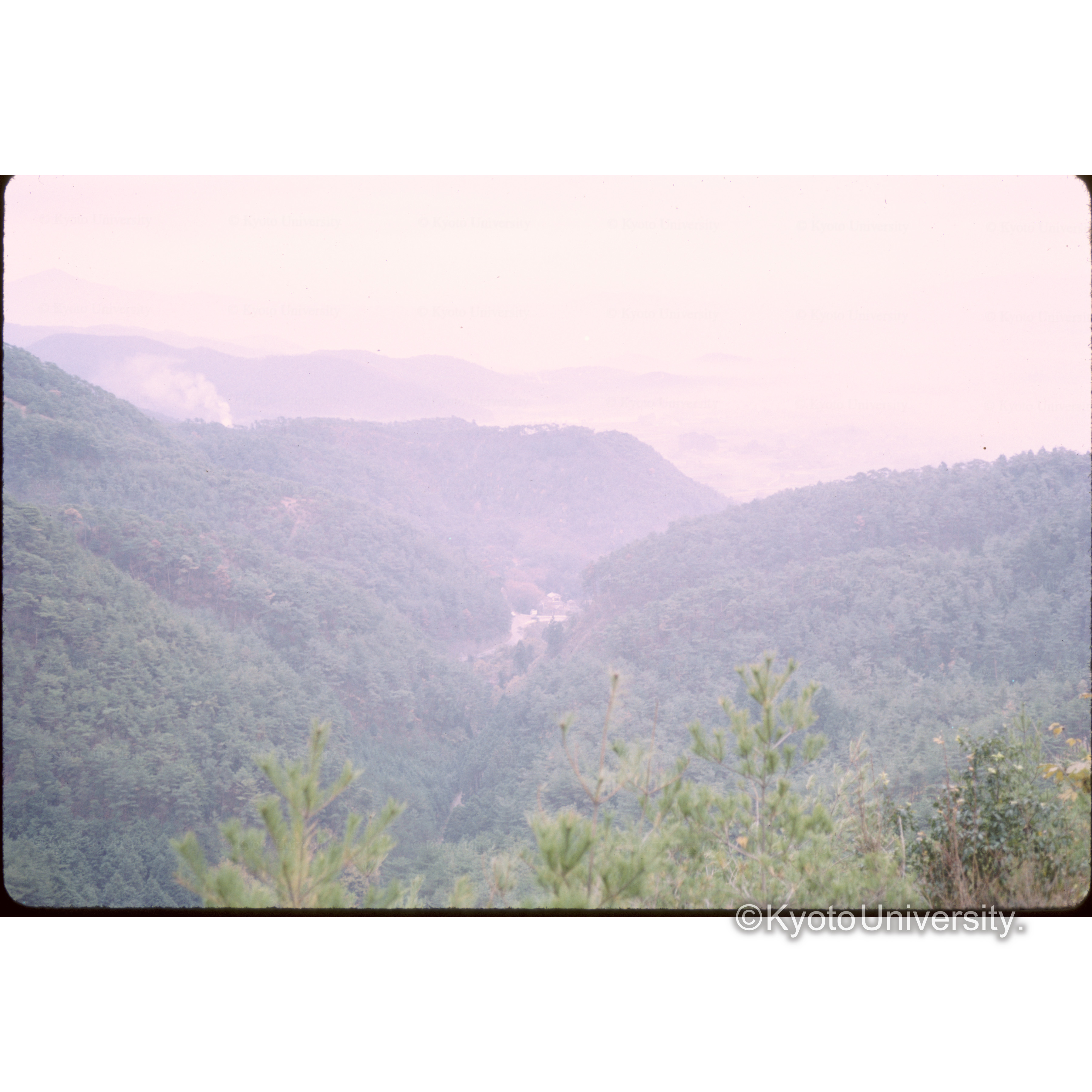 西山ハイウエー (1)