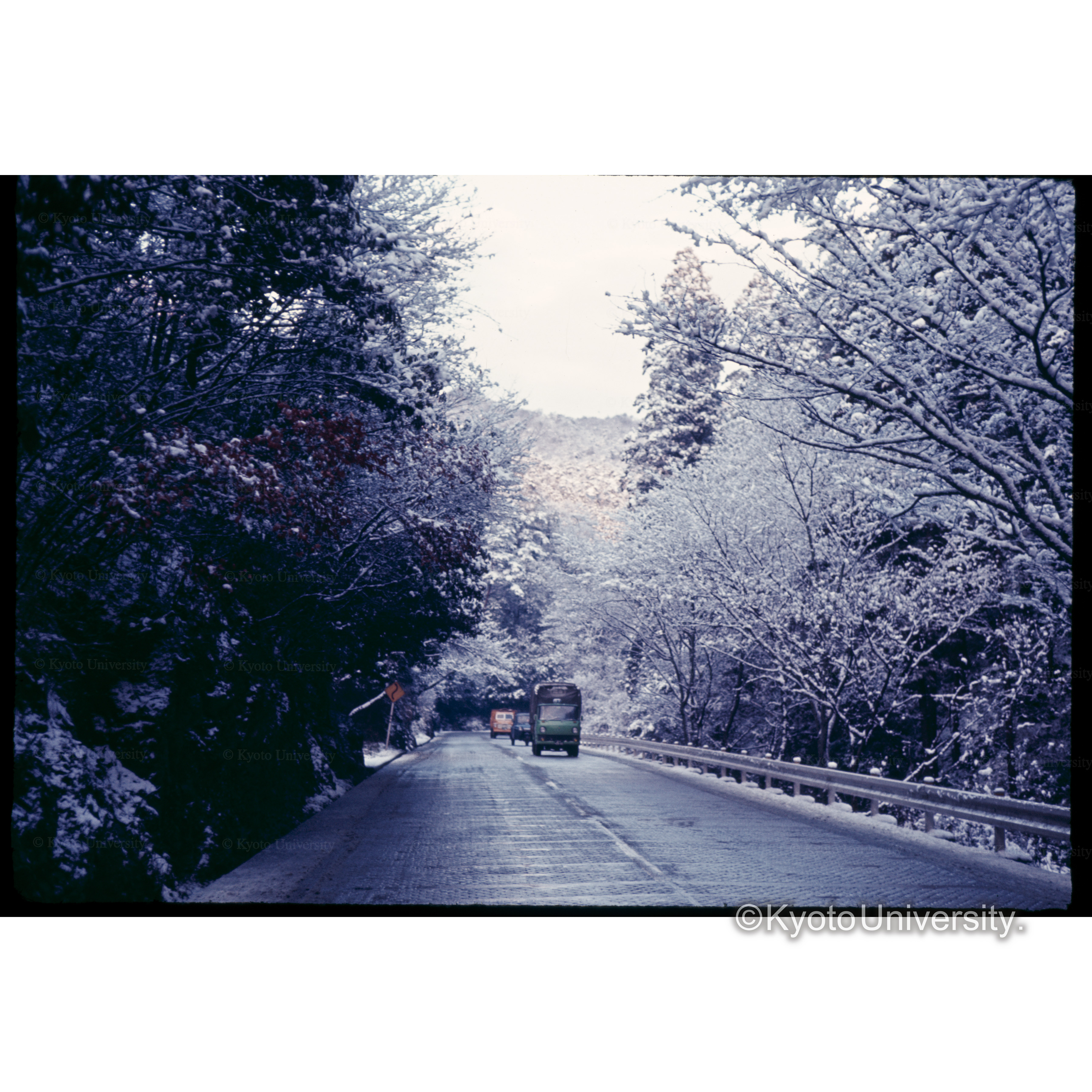 大枝　国道道　9号線 (1)