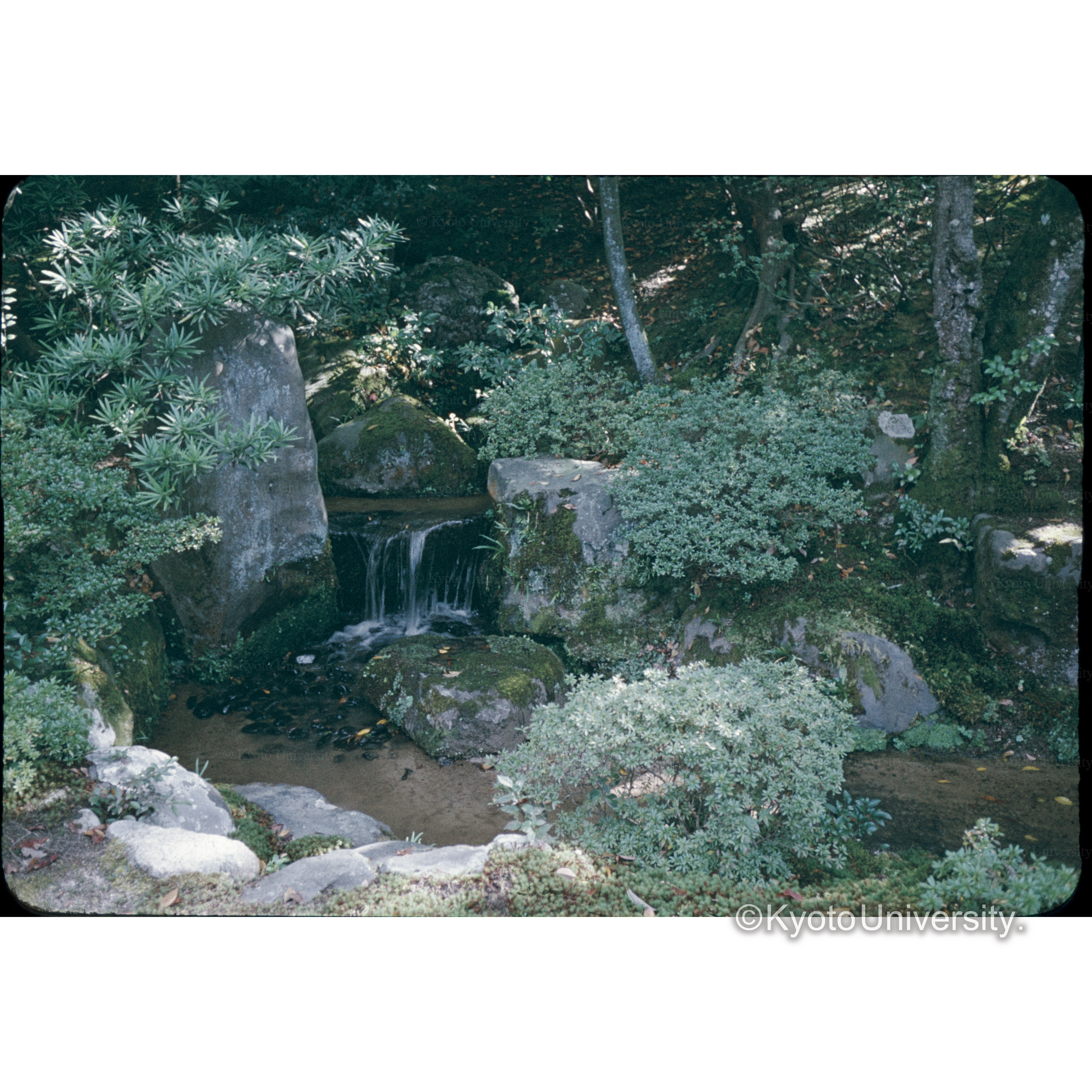 修学院下御茶屋 (1)