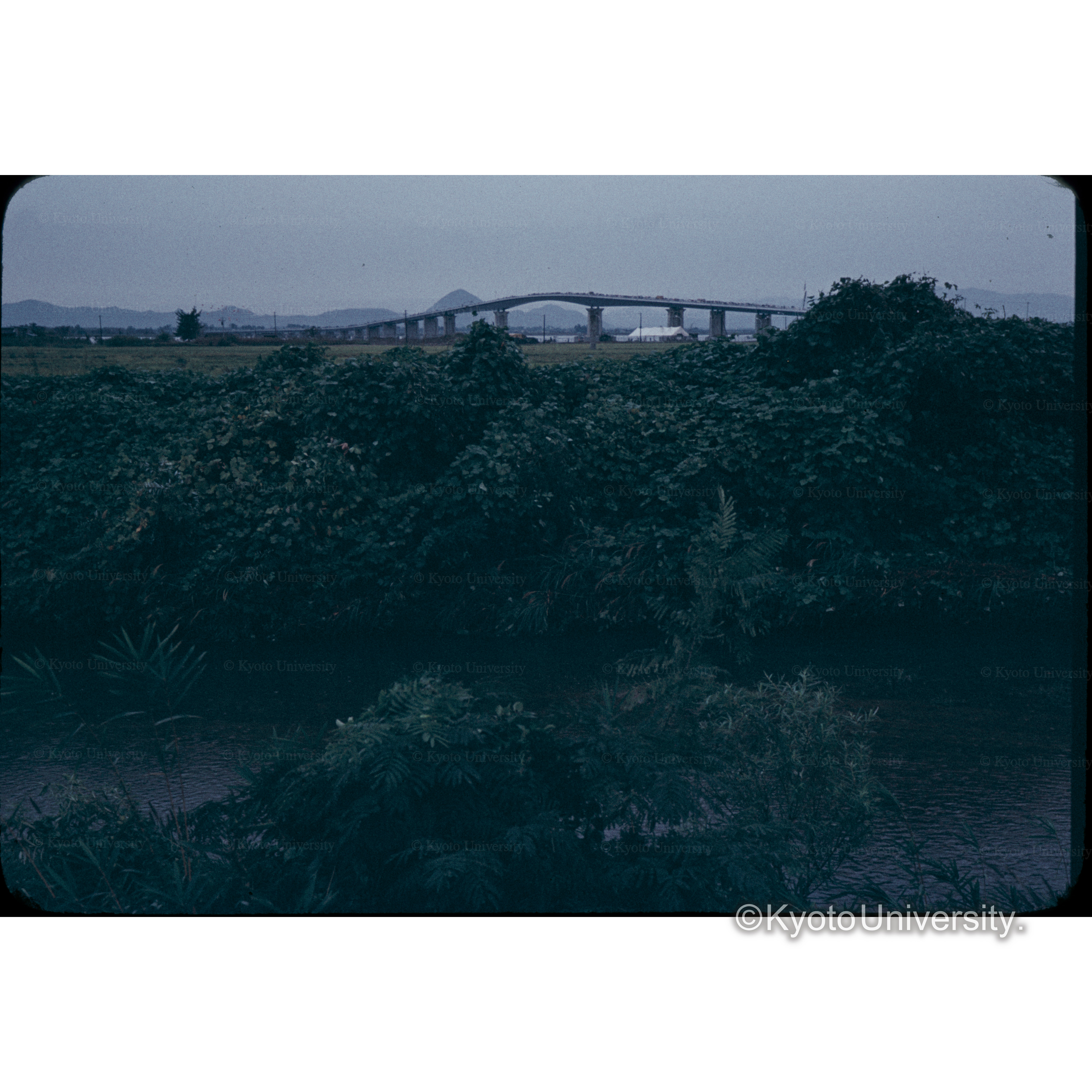 ビワ湖大橋周辺 (1)