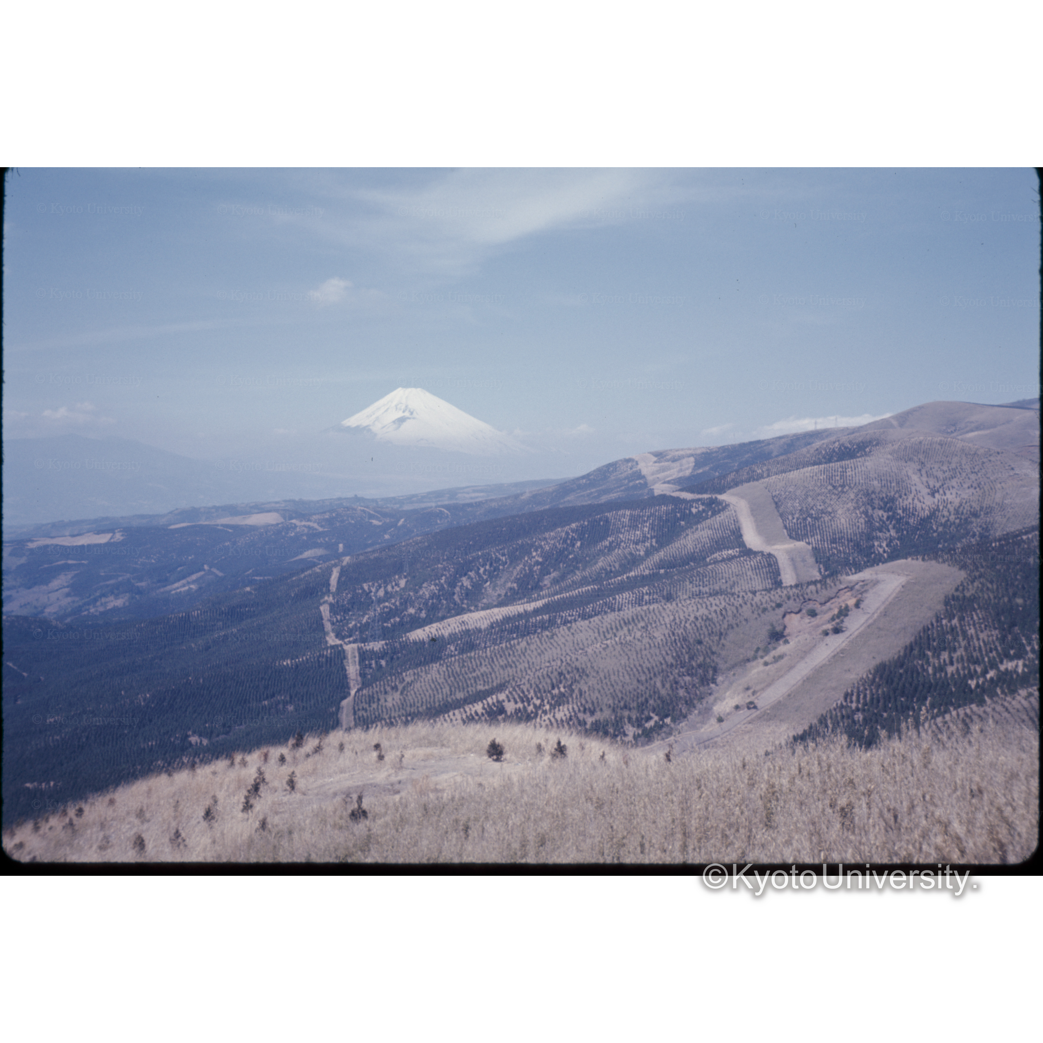 箱根スカイライン (1)