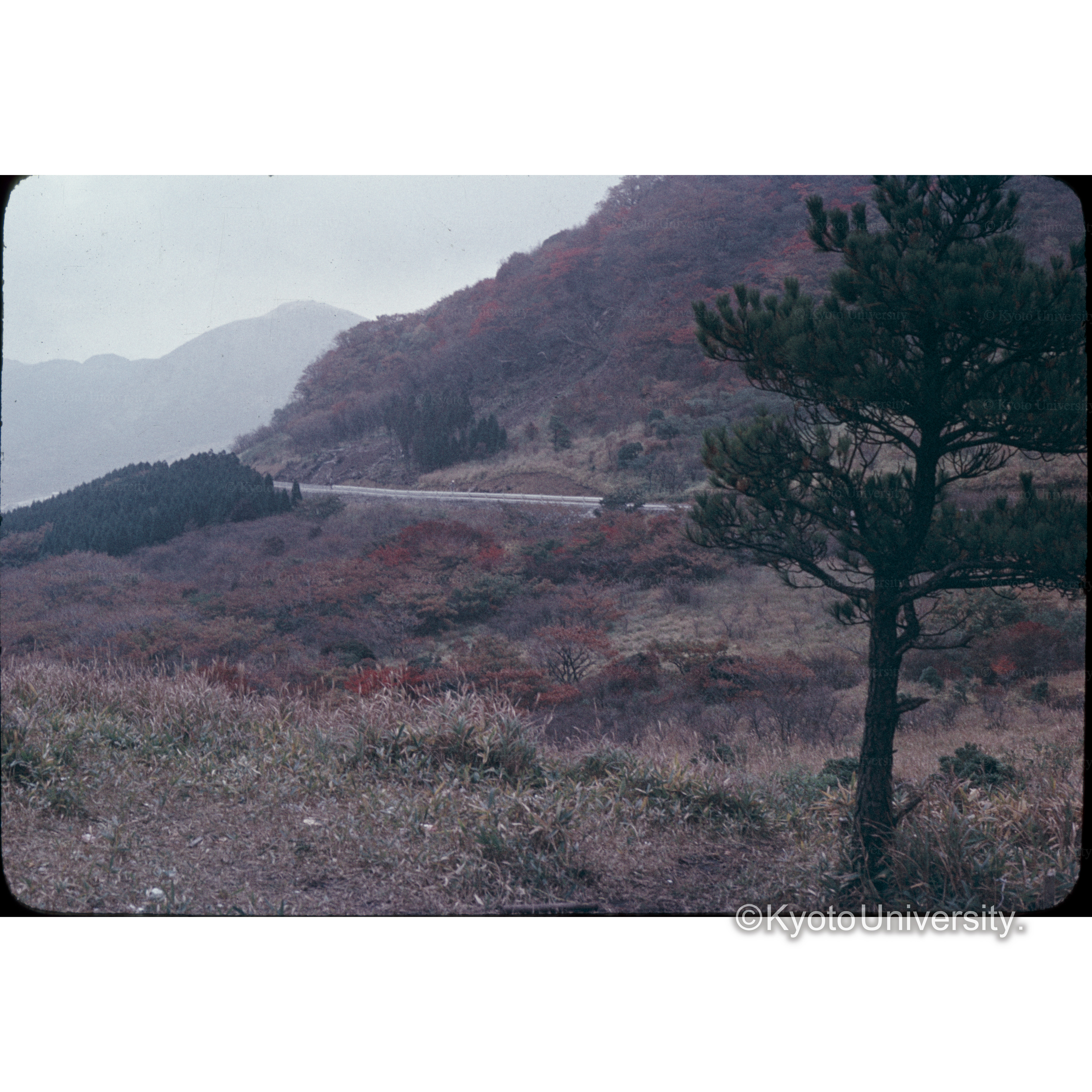 九州横断道路(24) (1)