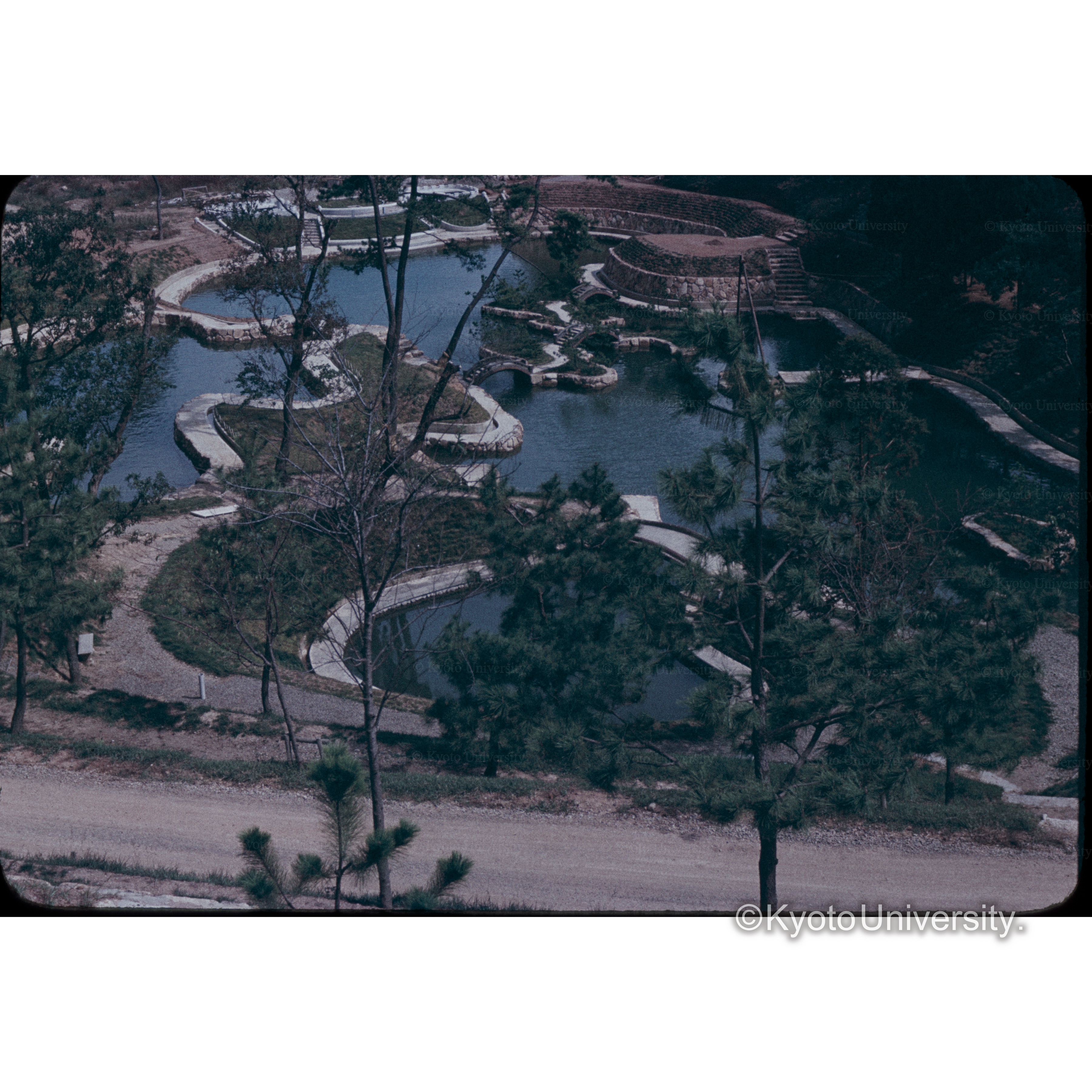 名古山(日本庭園) (1)