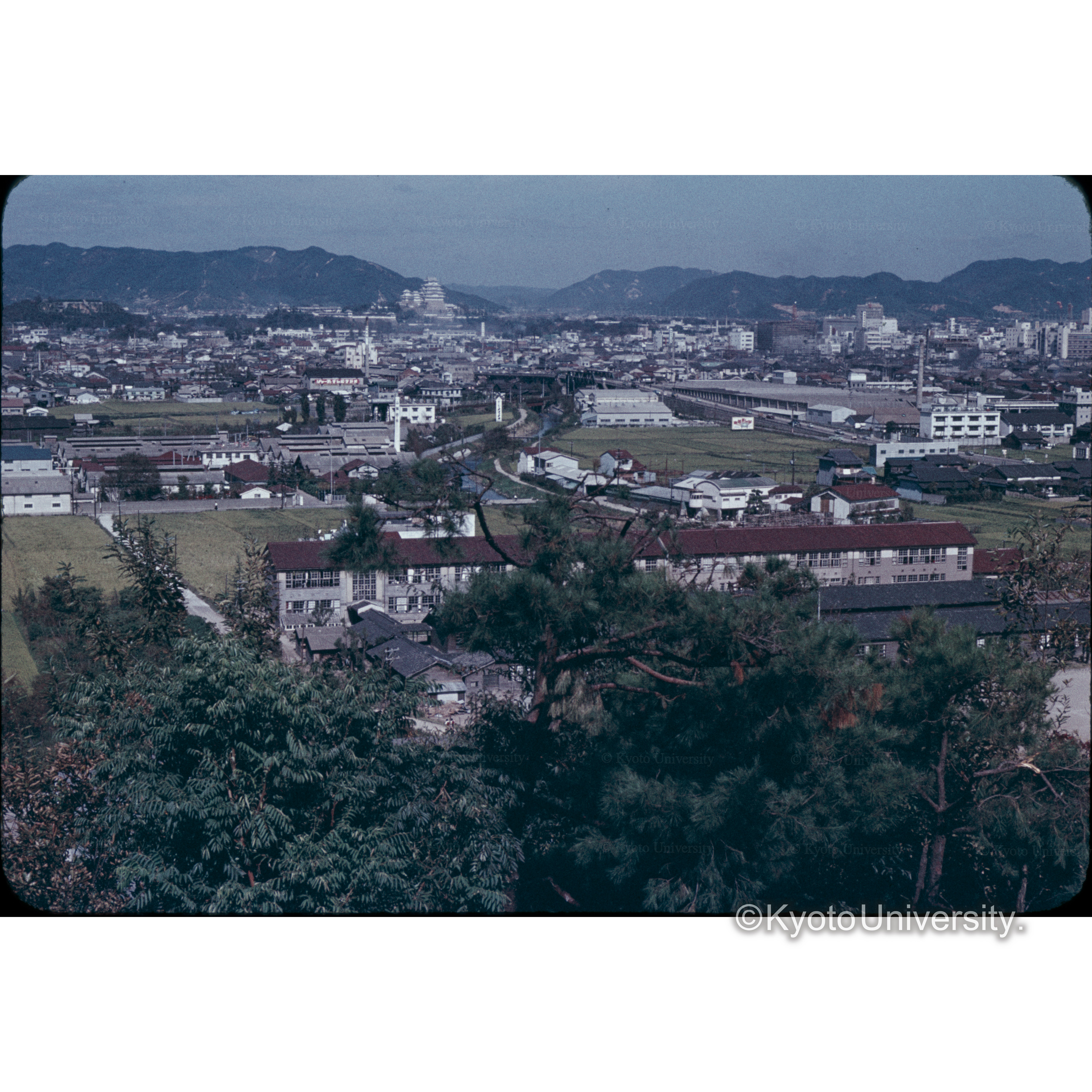 手柄山より姫路城を望む (1)