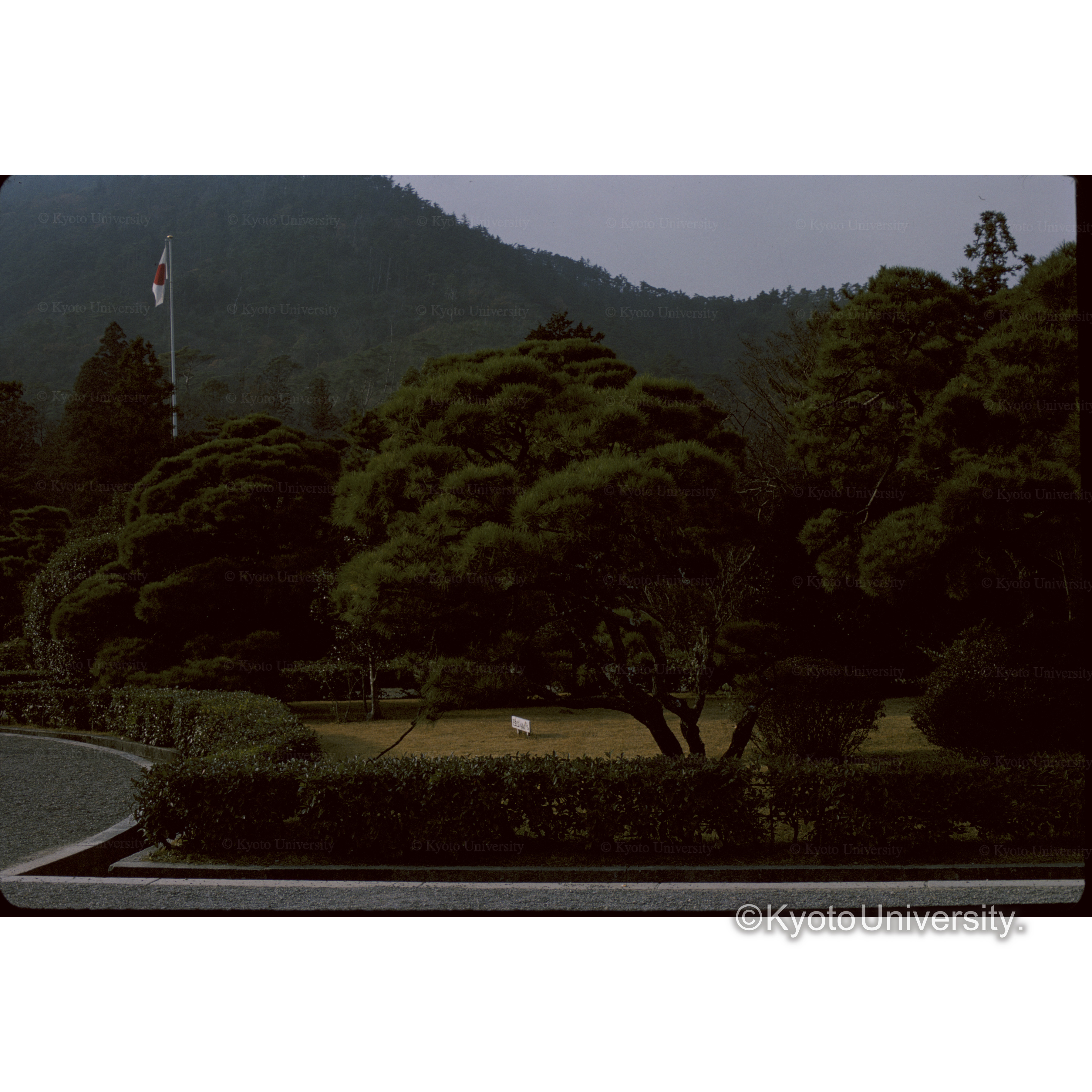 伊勢神宮(内宮) (1)