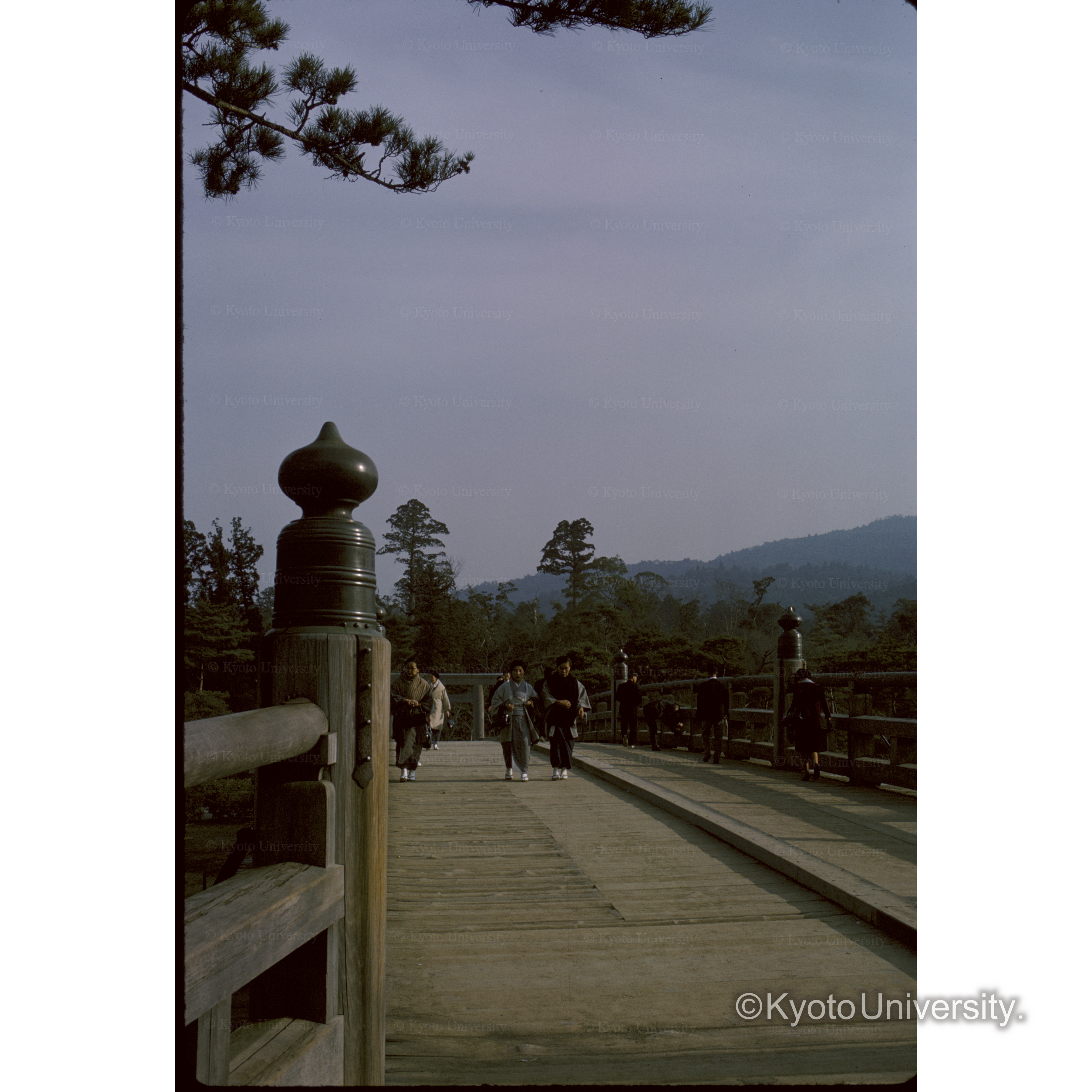 伊勢神宮(内宮) (1)