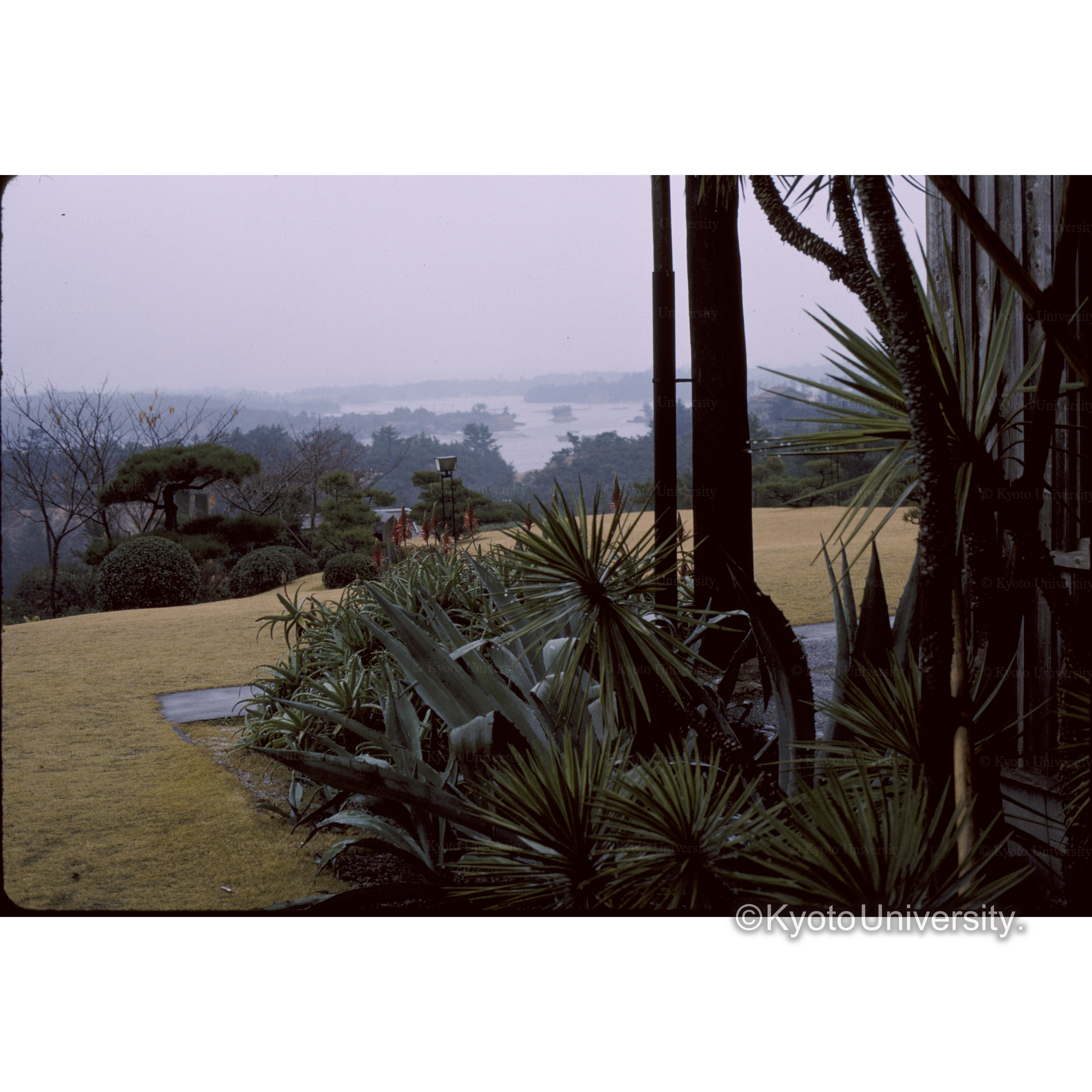 賢島観光ホテル (1)