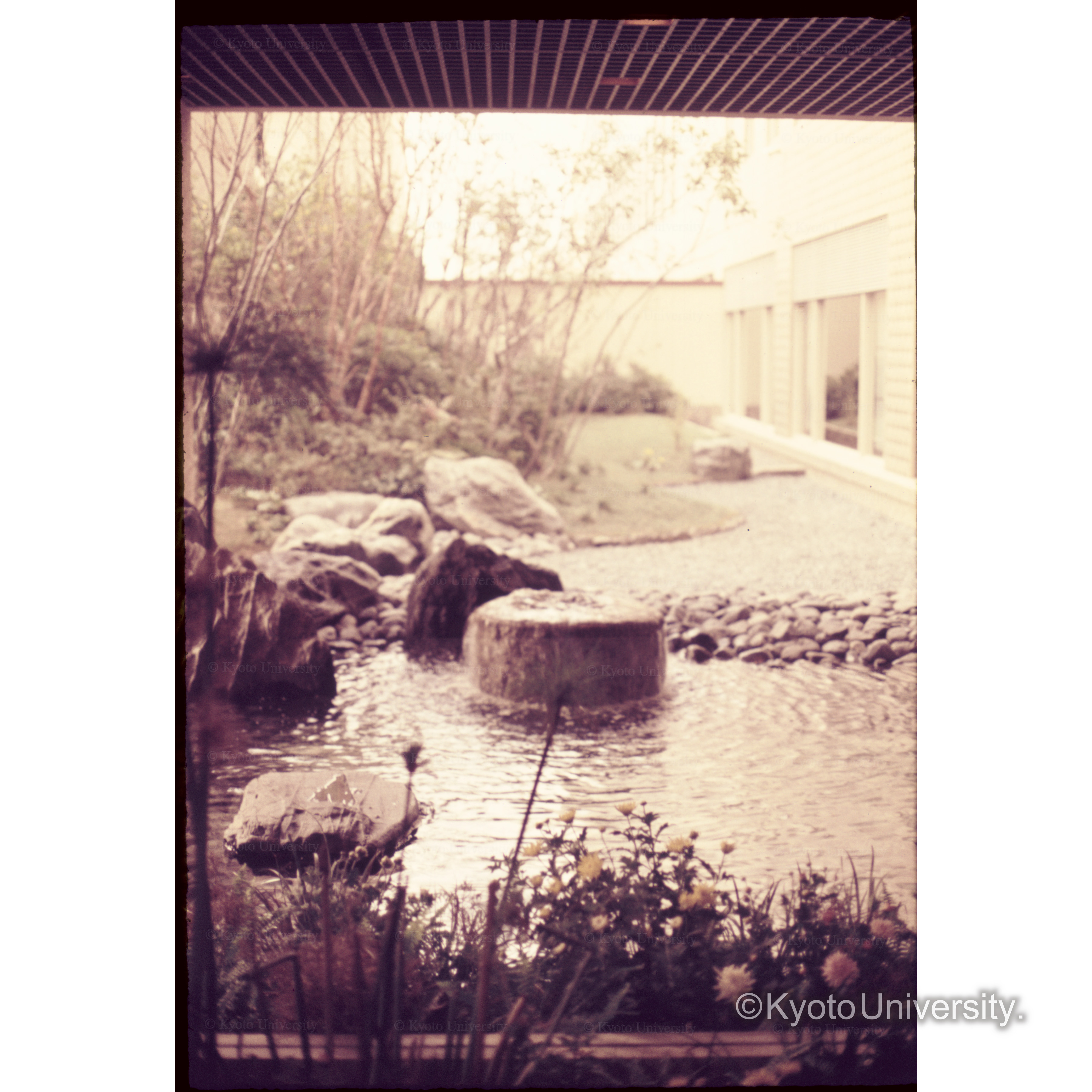 大阪Royal Hotel (1)