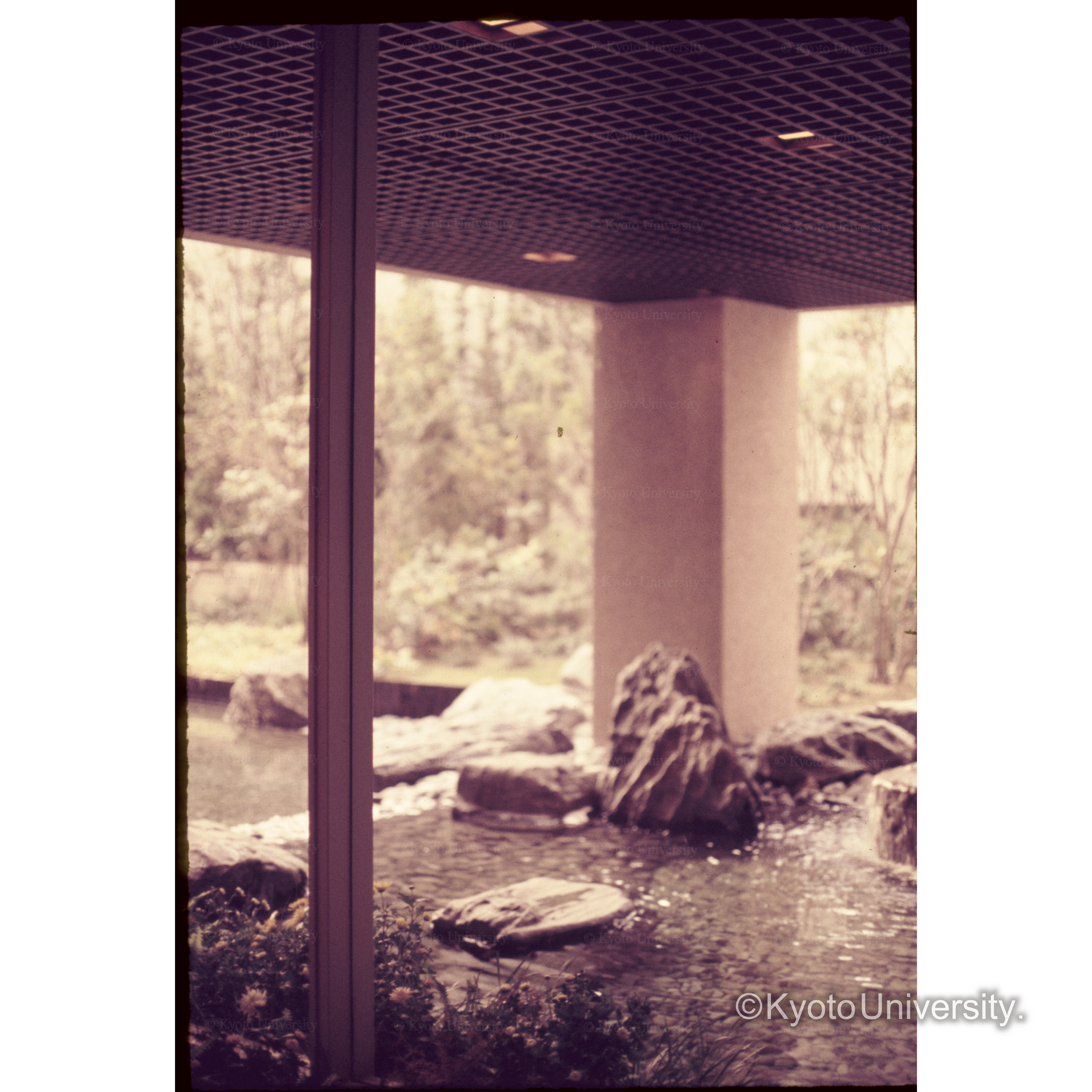 大阪Royal Hotel (1)