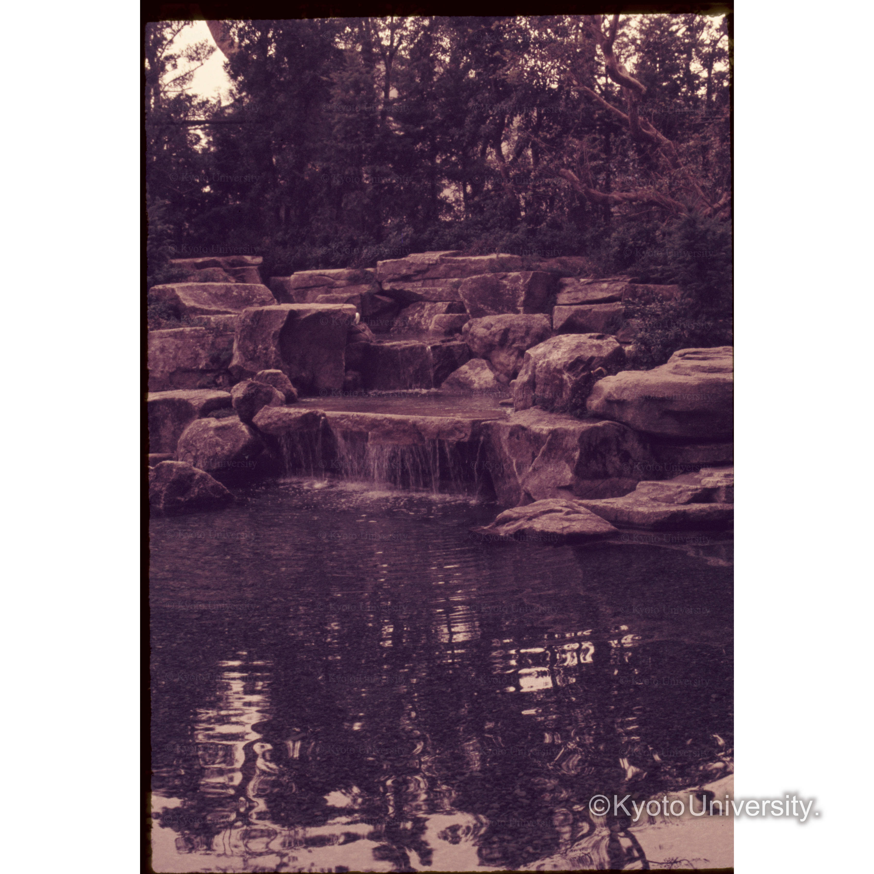 大阪Royal Hotel (1)