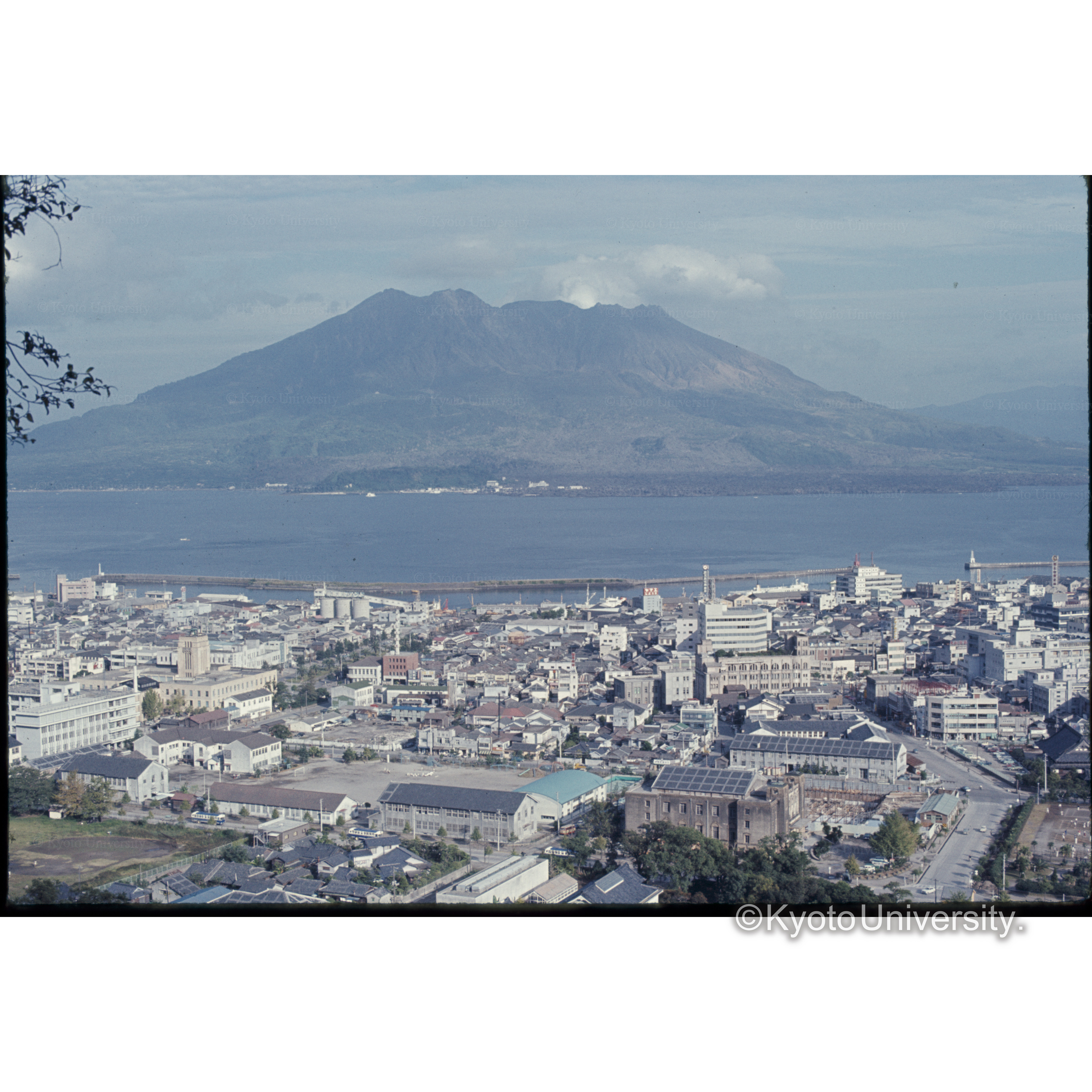 城山公園からの桜島 (1)