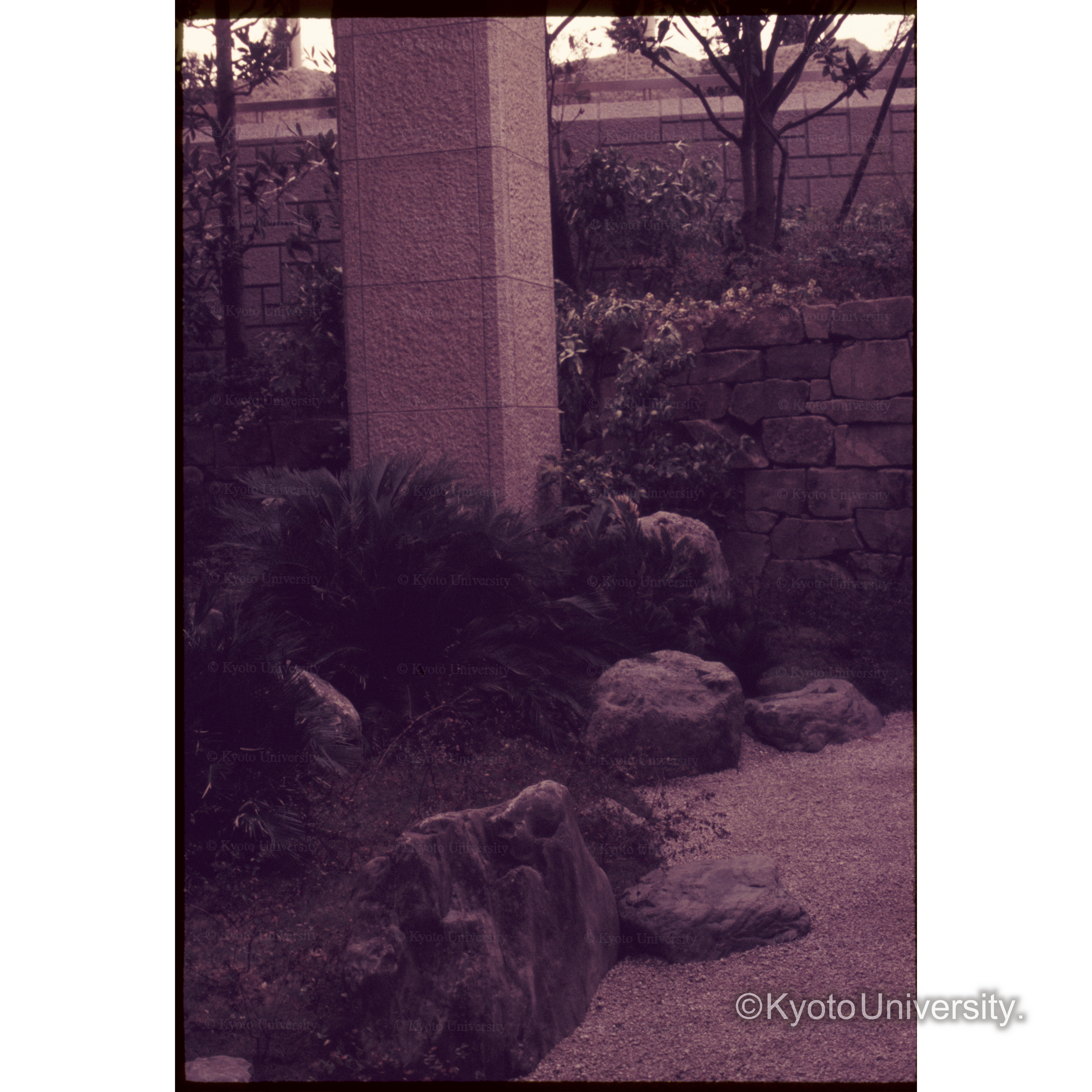 大阪Royal Hotel (1)