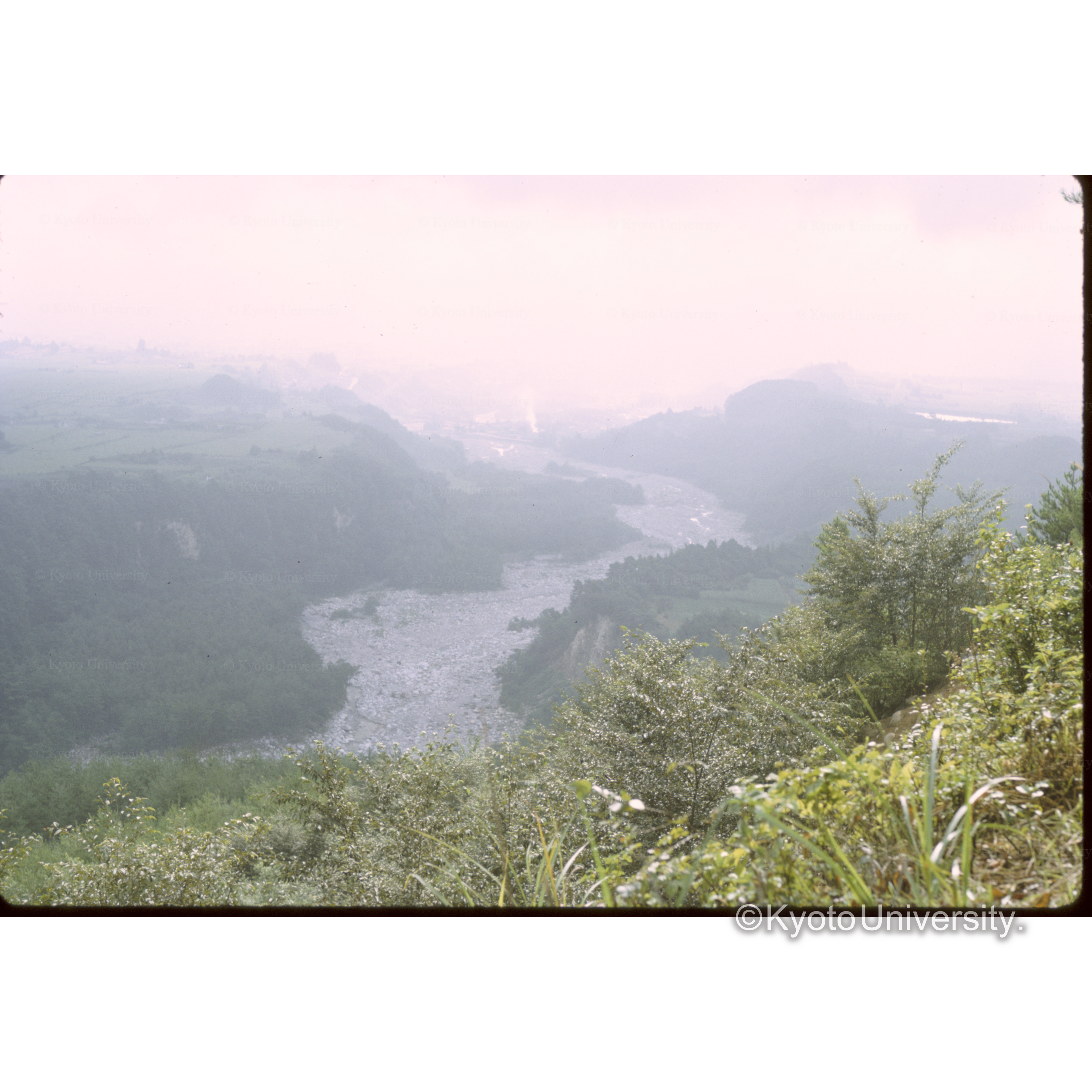 飯島町福祉センターの裏 (1)
